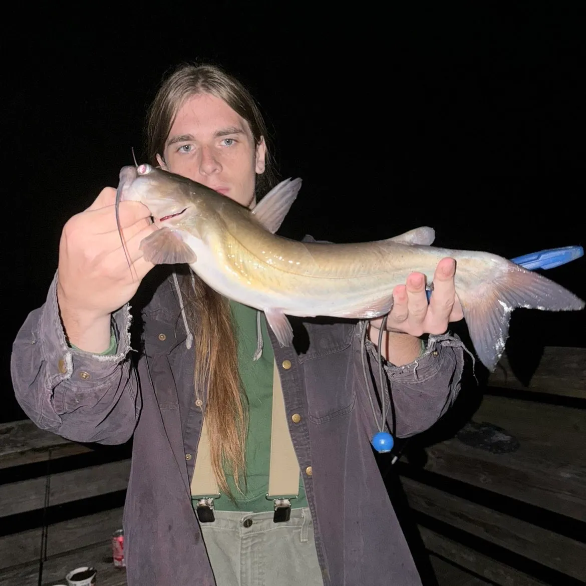 Channel catfish caught on Fishbrain
