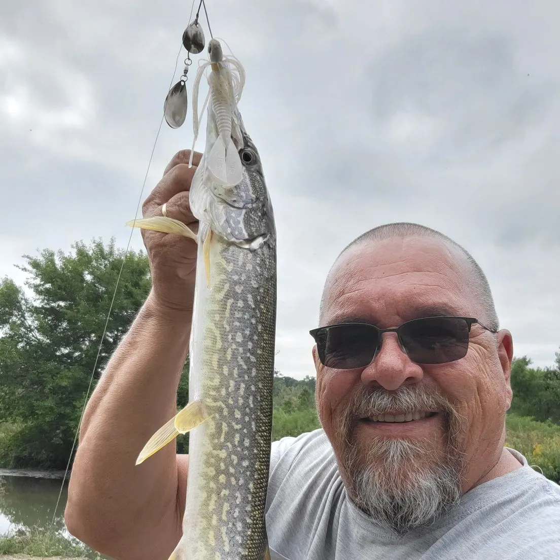 Northern pike caught on Fishbrain