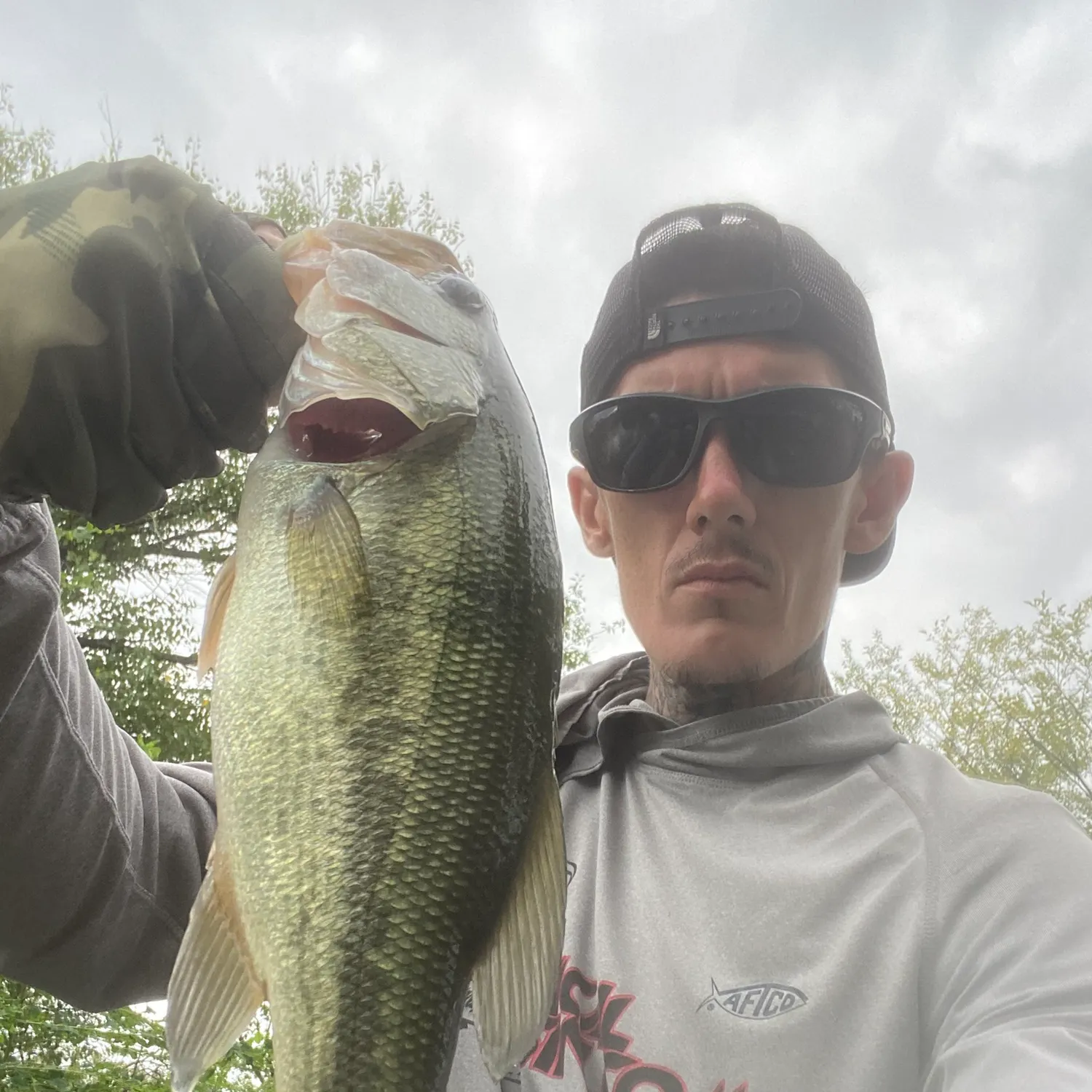 Largemouth bass caught on Fishbrain