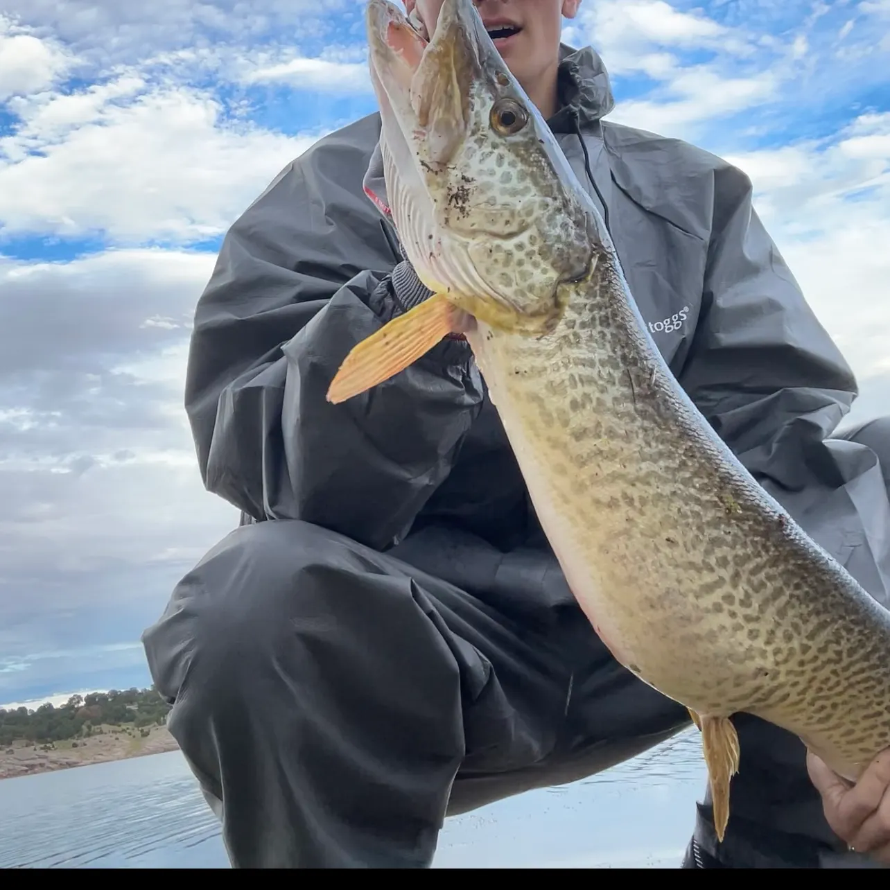 Tiger muskie caught on Fishbrain