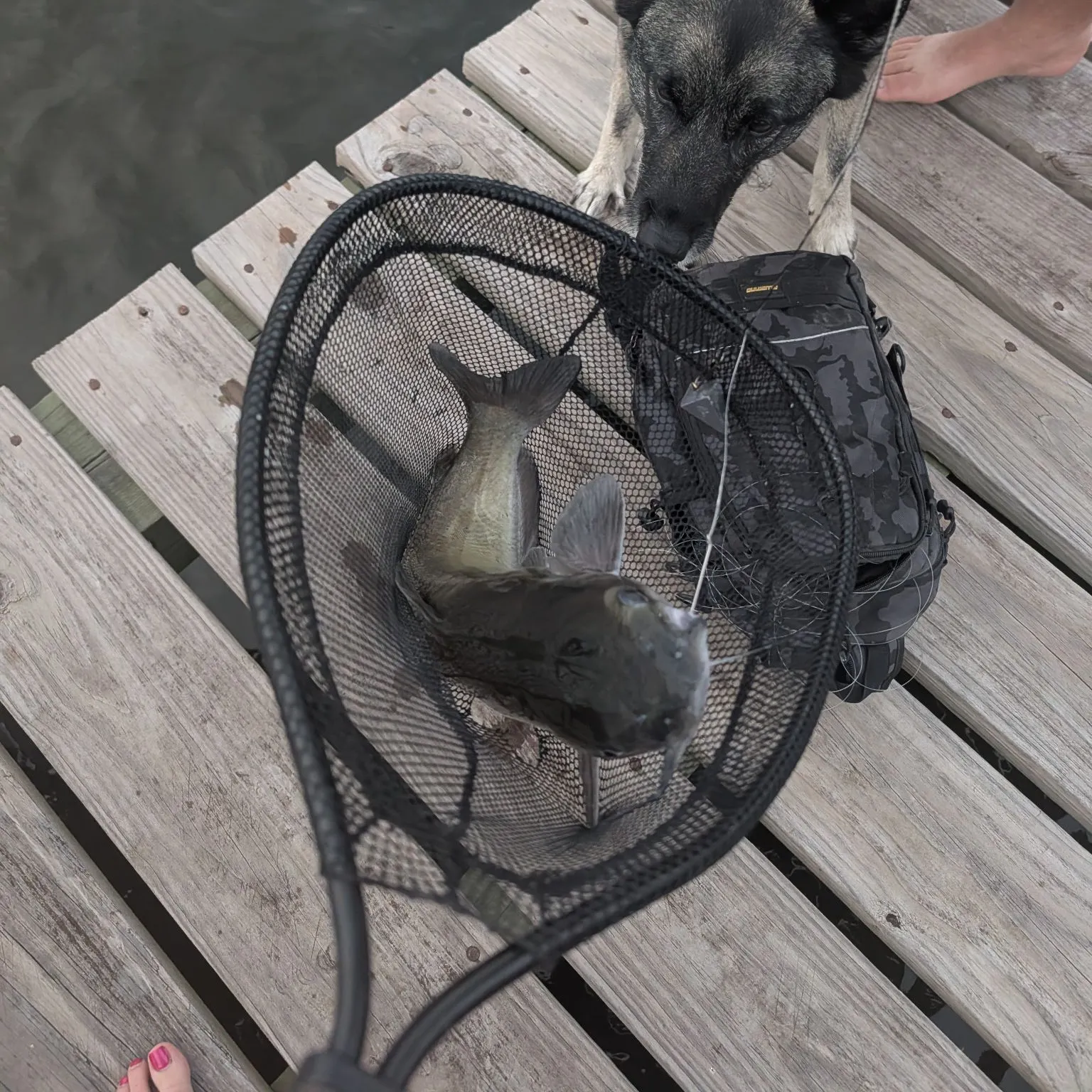 catch