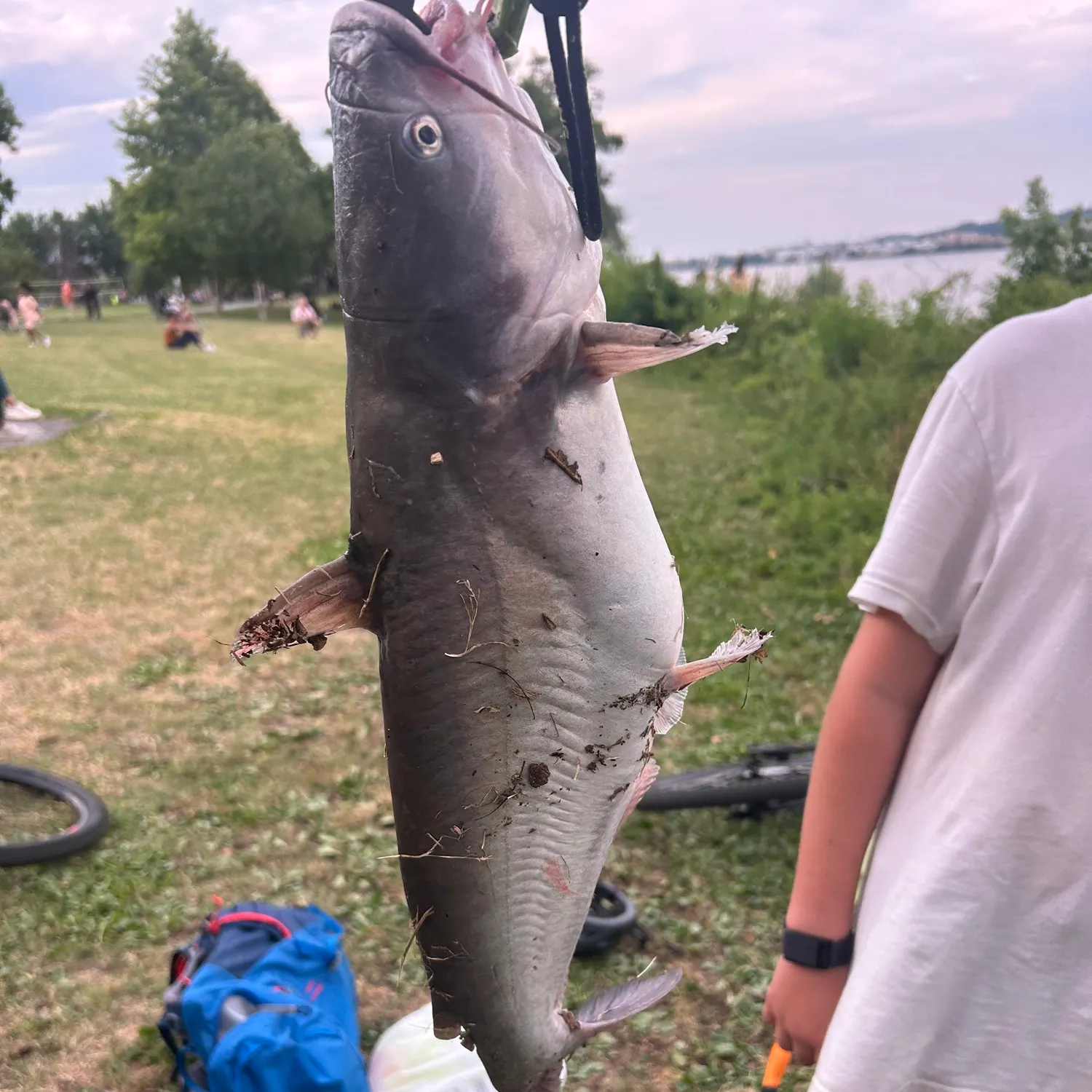 catch