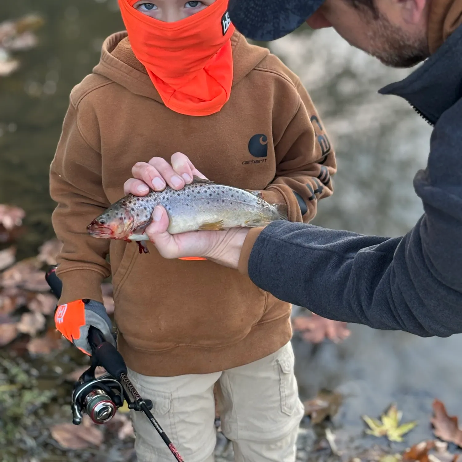 Sea trout caught on Fishbrain