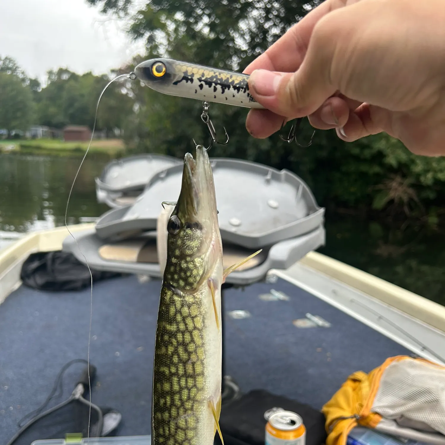 catch