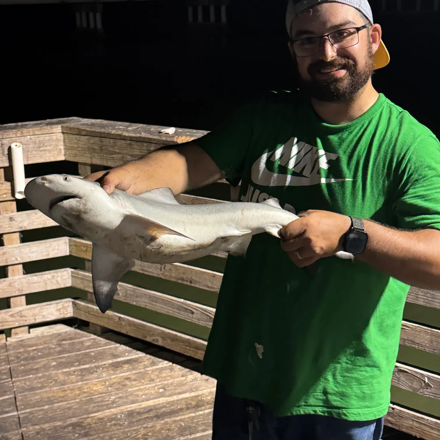 Bull shark caught on Fishbrain