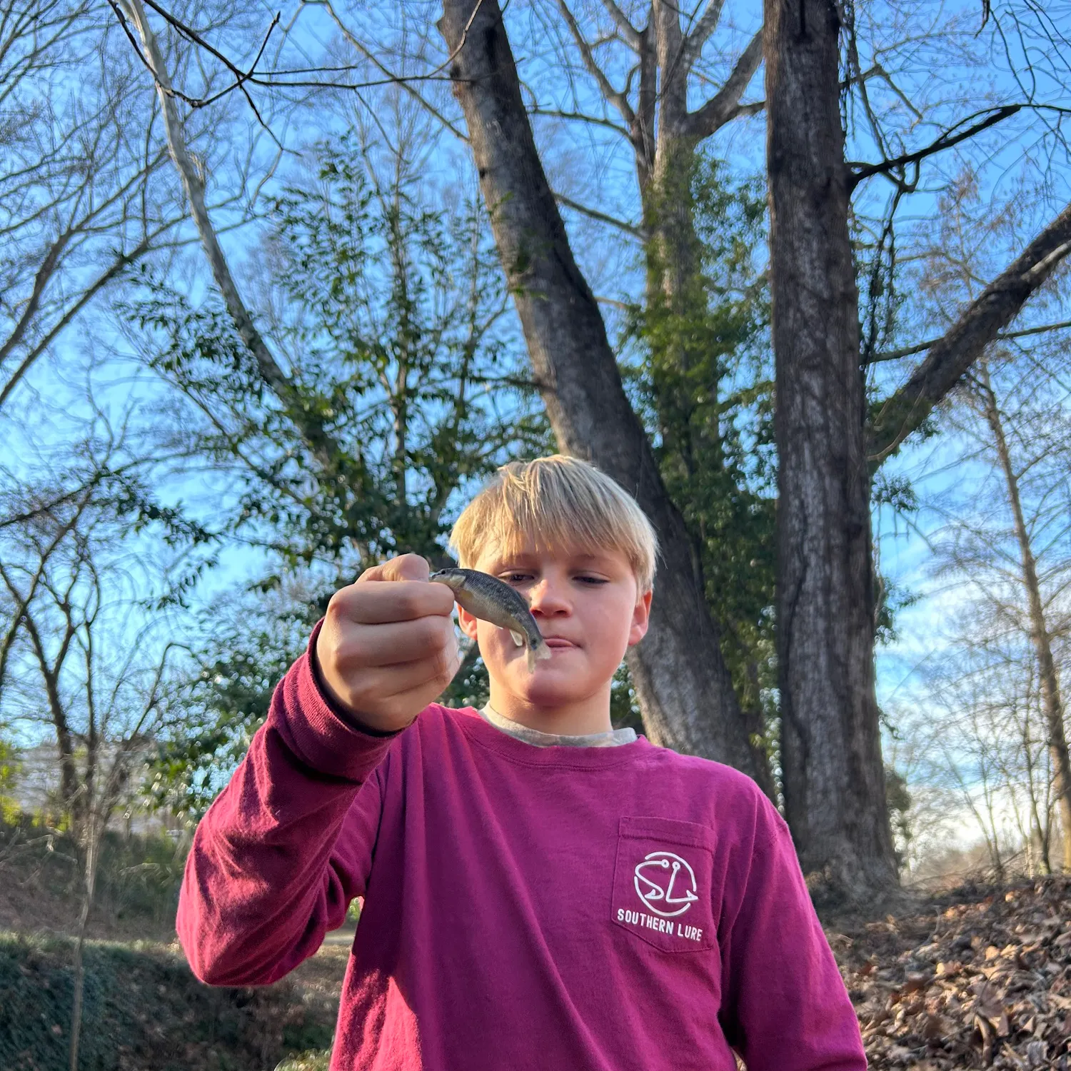 The most recent Bluehead chub catches on Fishbrain