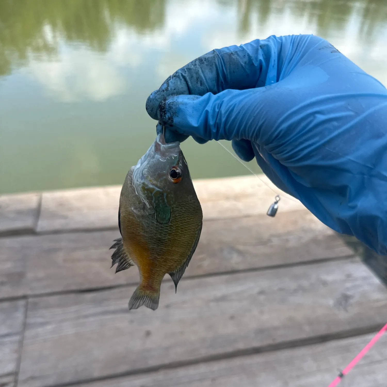catch