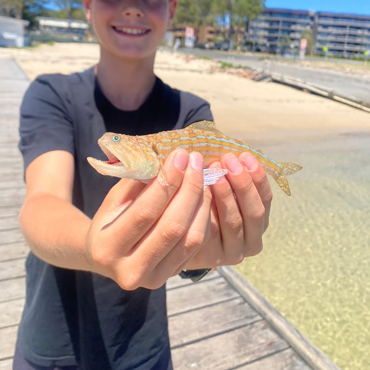 The most recent Atlantic lizardfish catches on Fishbrain