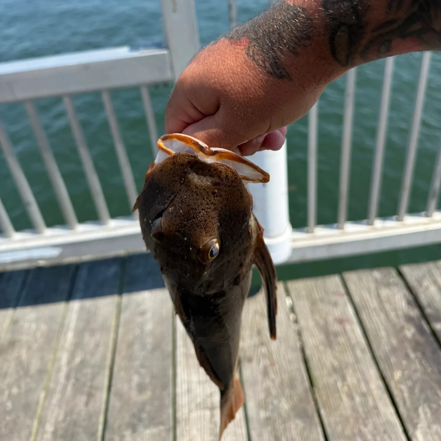 catch