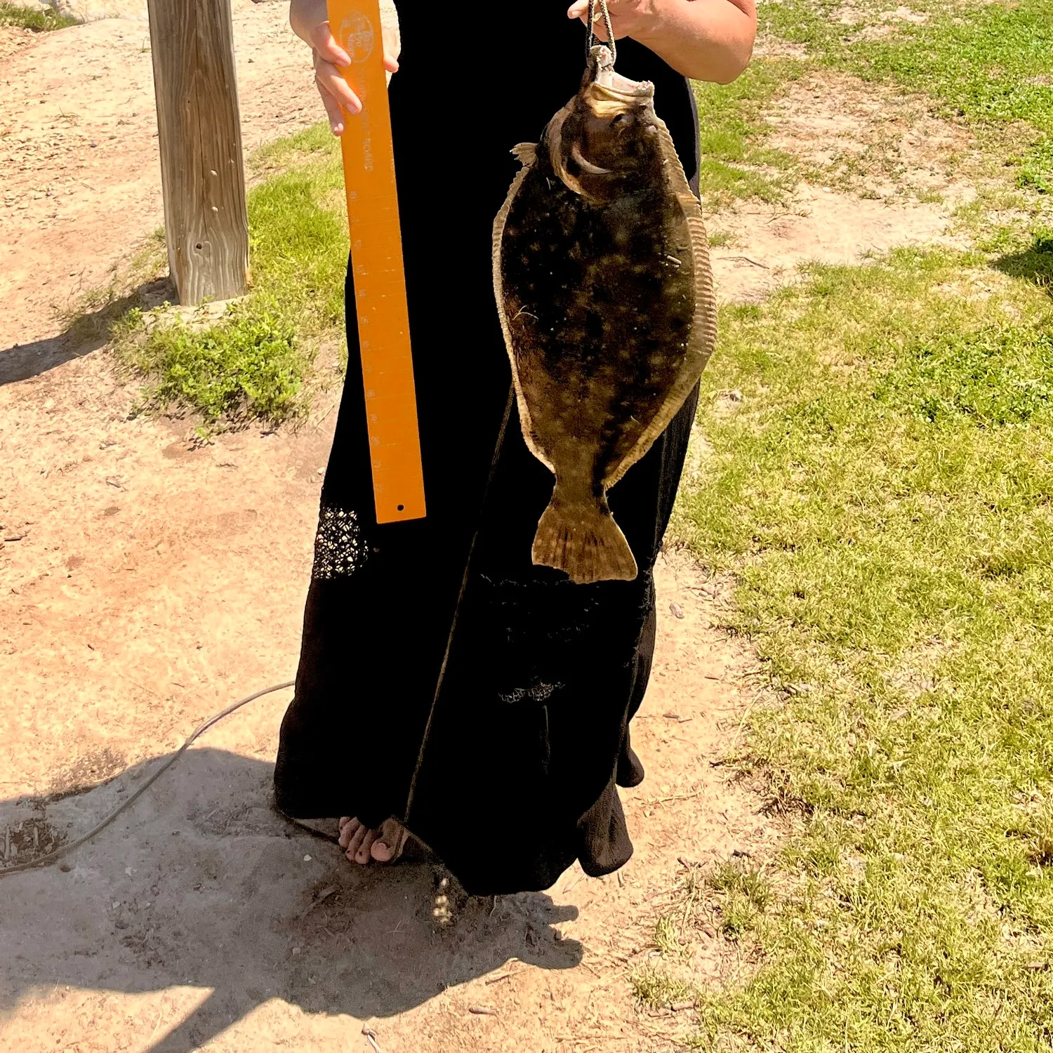 The most recent Southern flounder catches on Fishbrain