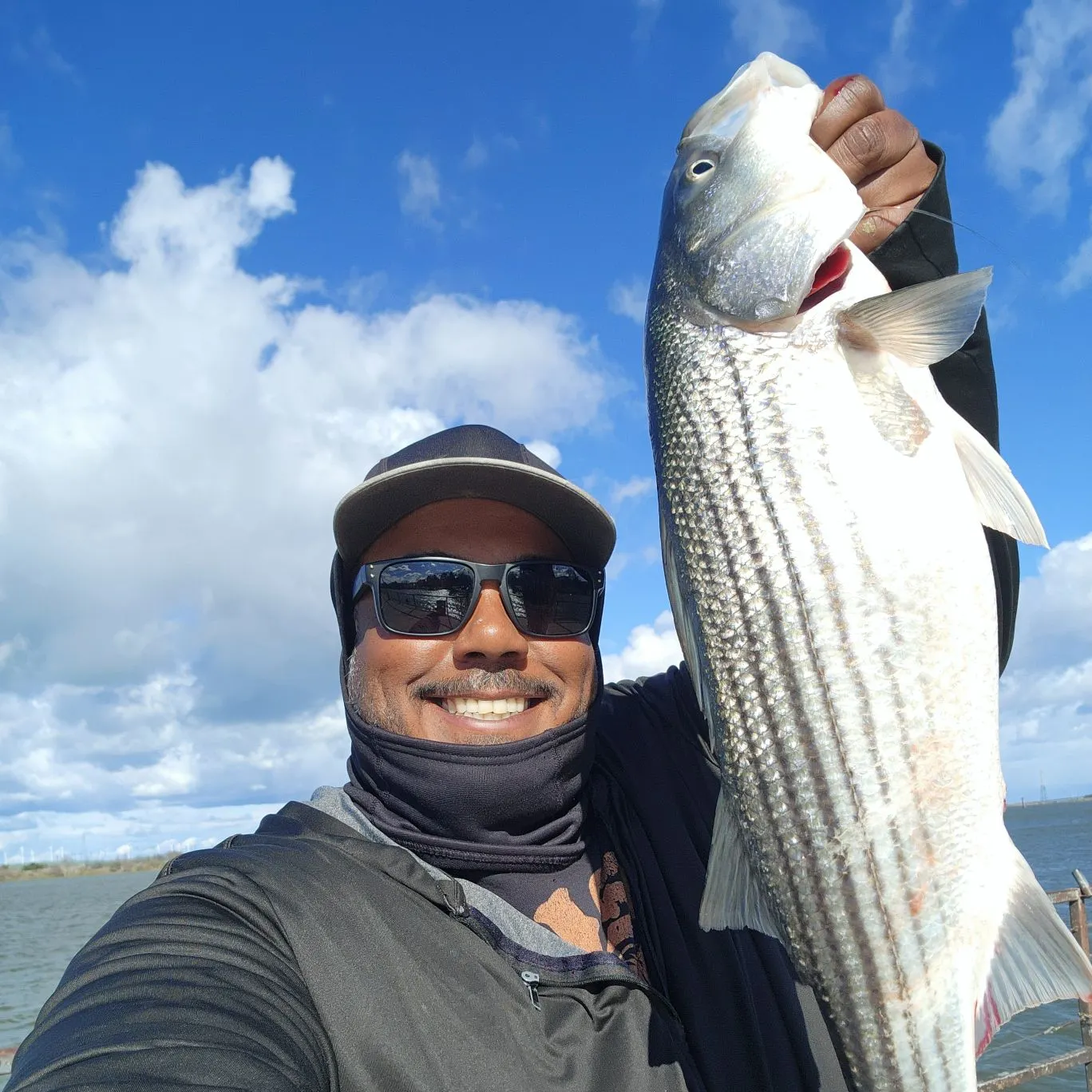 The most recent Striped bass catches on Fishbrain