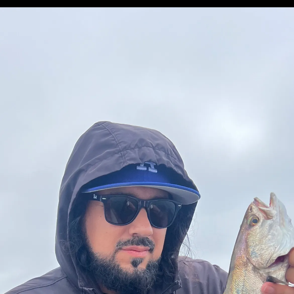 White seabass caught on Fishbrain