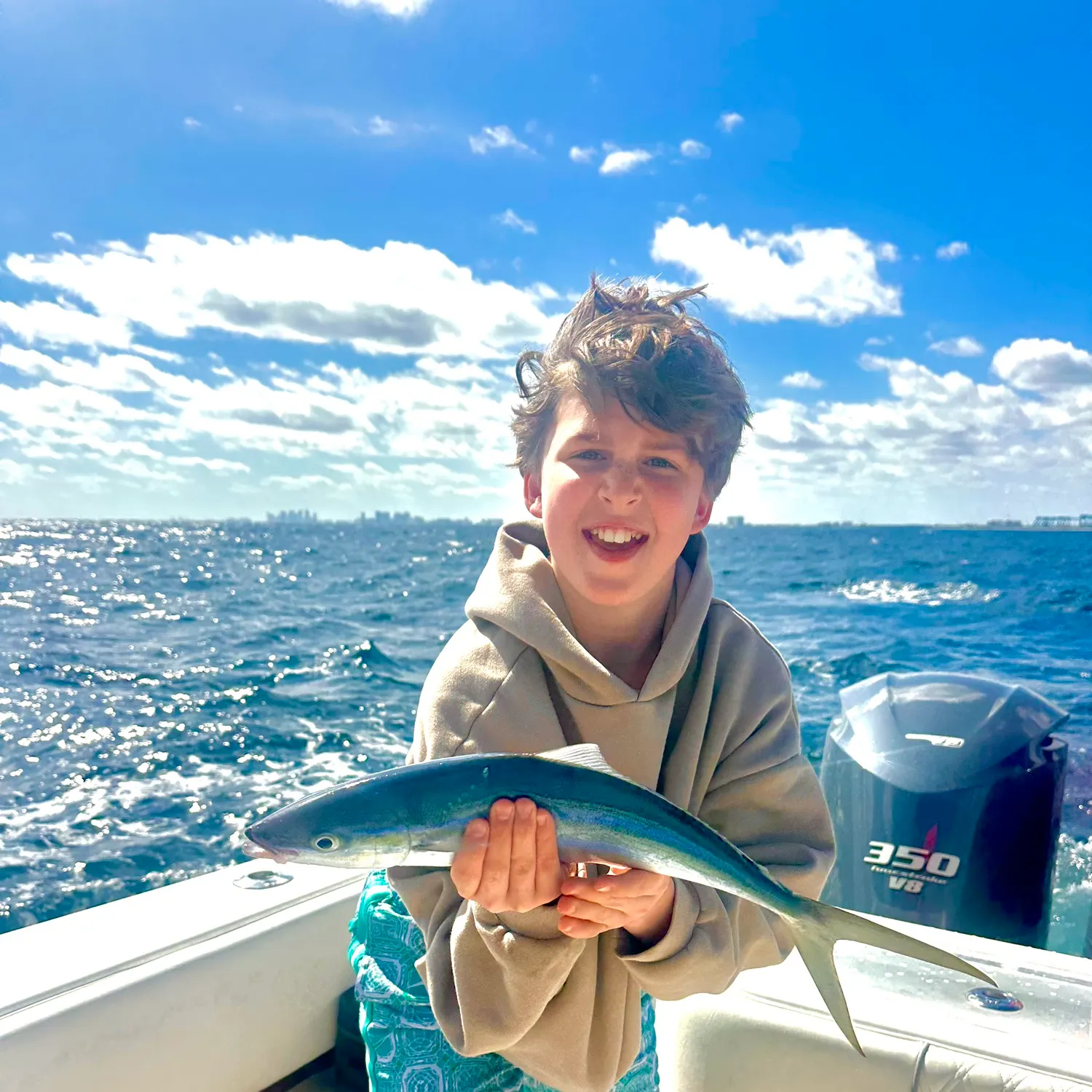 The most recent Southern yellowtail amberjack catches on Fishbrain