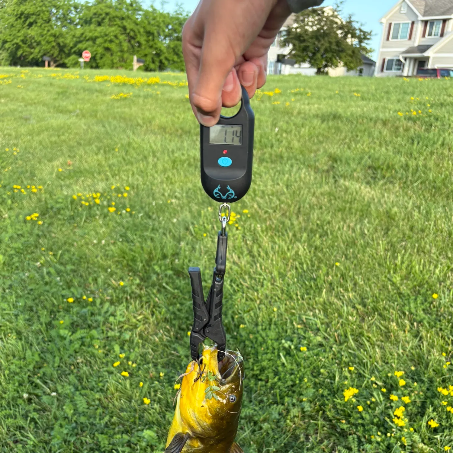 catch