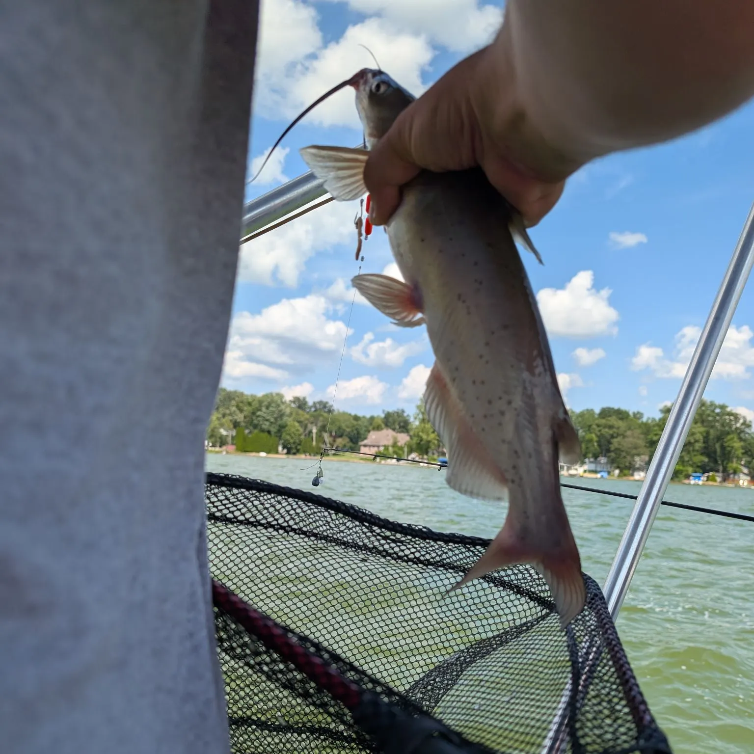 catch