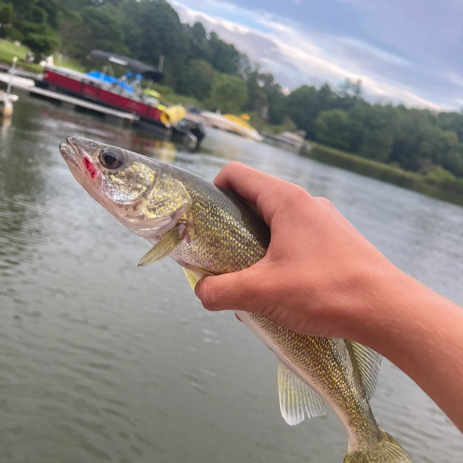 catch
