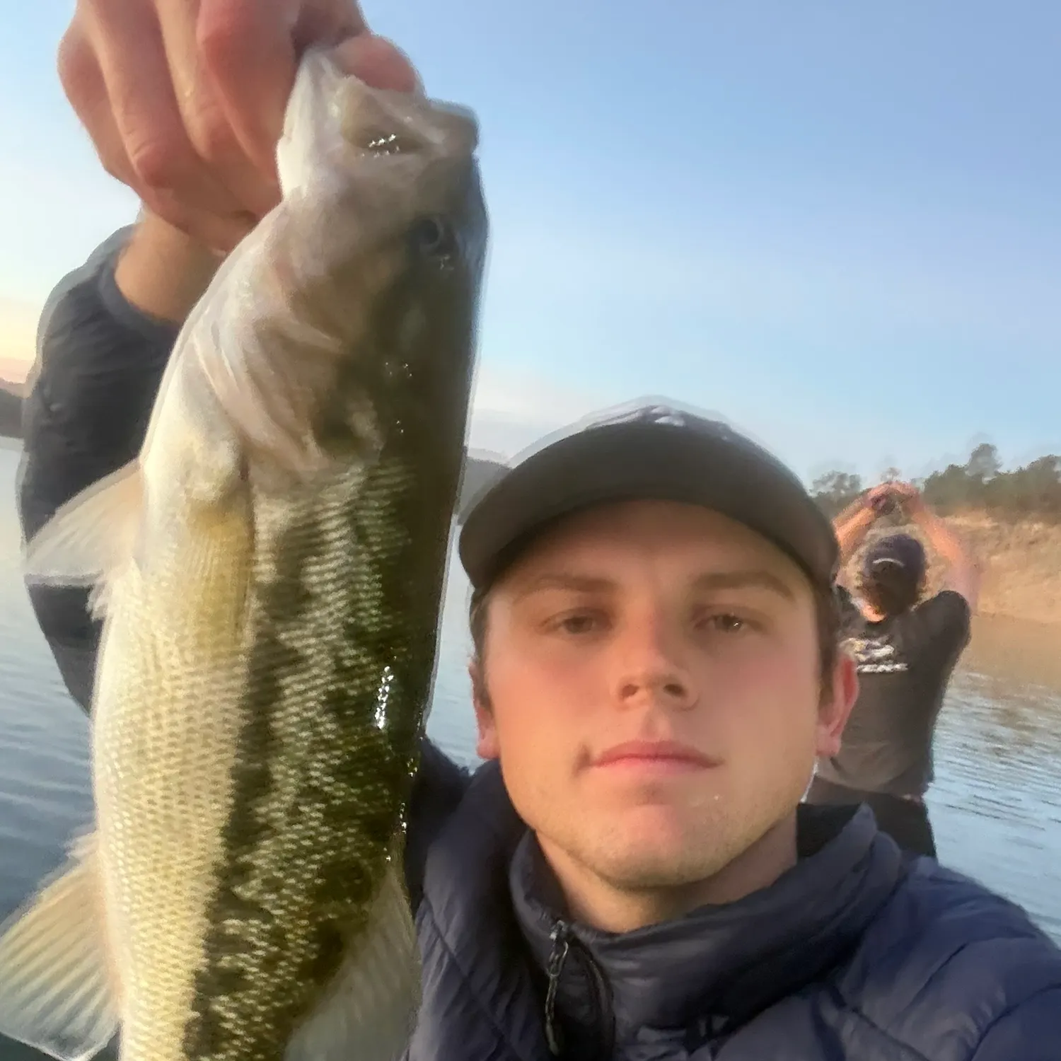 Spotted bass caught on Fishbrain