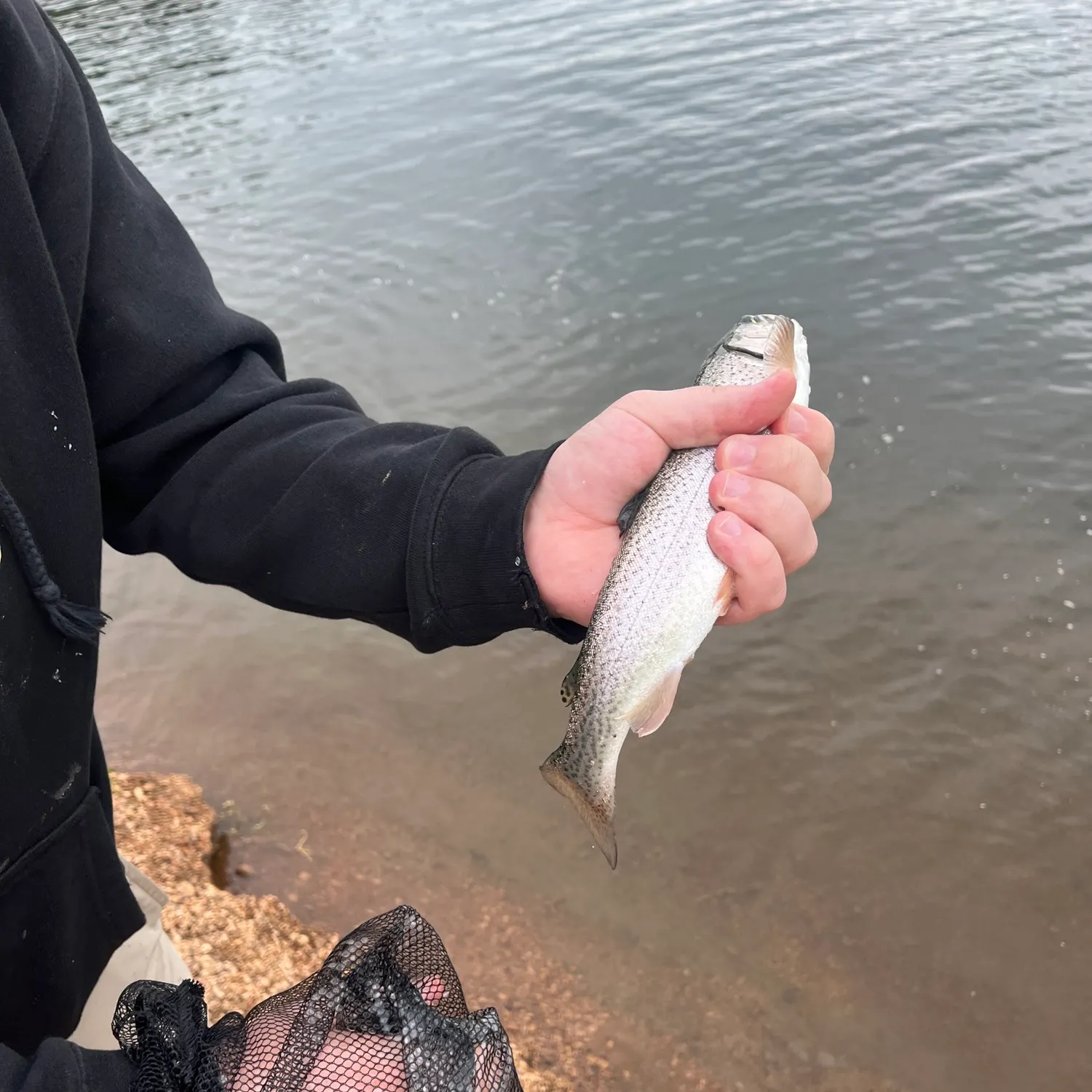 Rainbow trout caught on Fishbrain