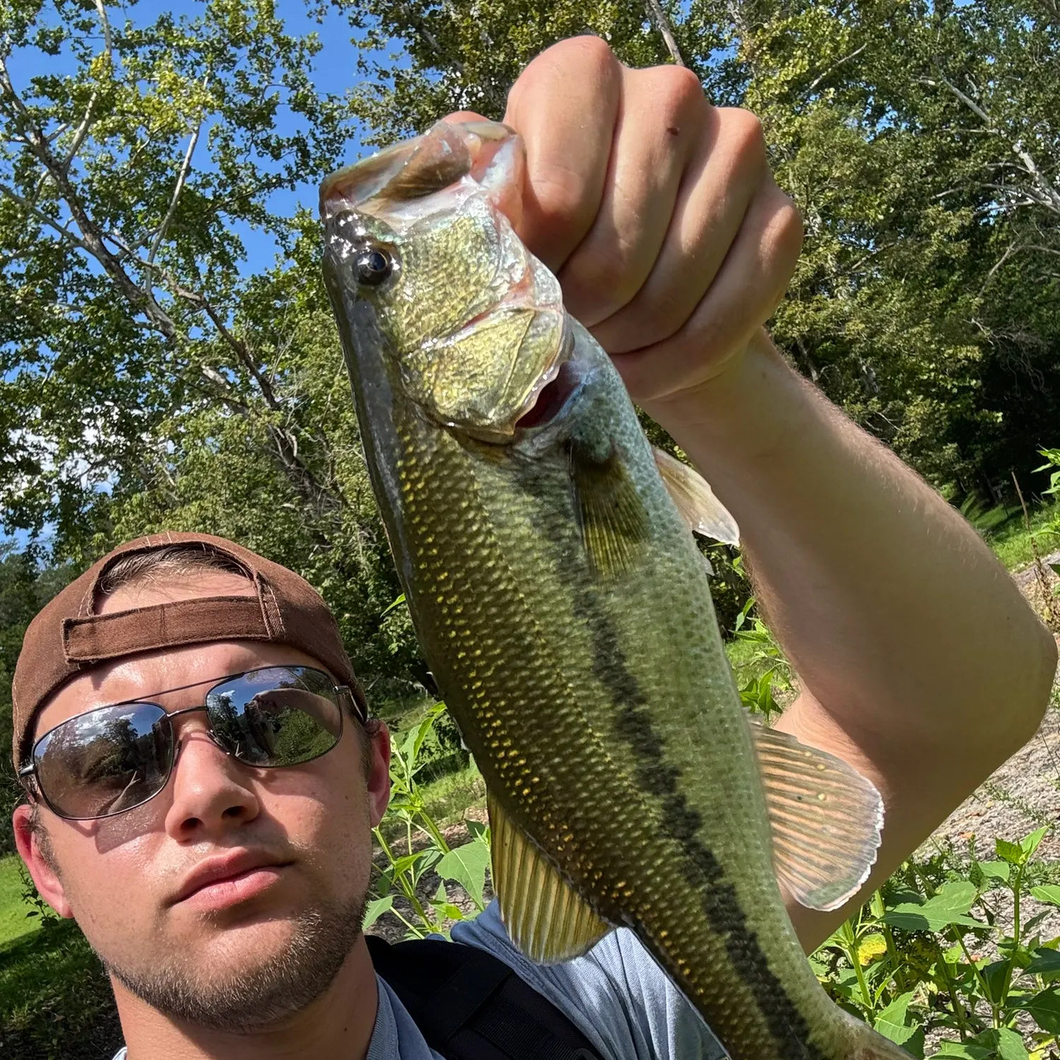 Largemouth bass caught on Fishbrain