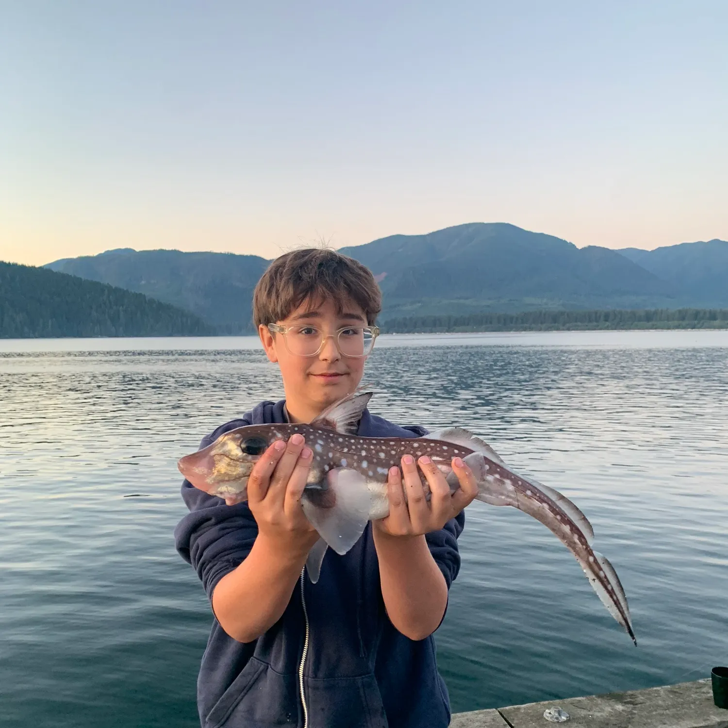 Spotted ratfish caught on Fishbrain