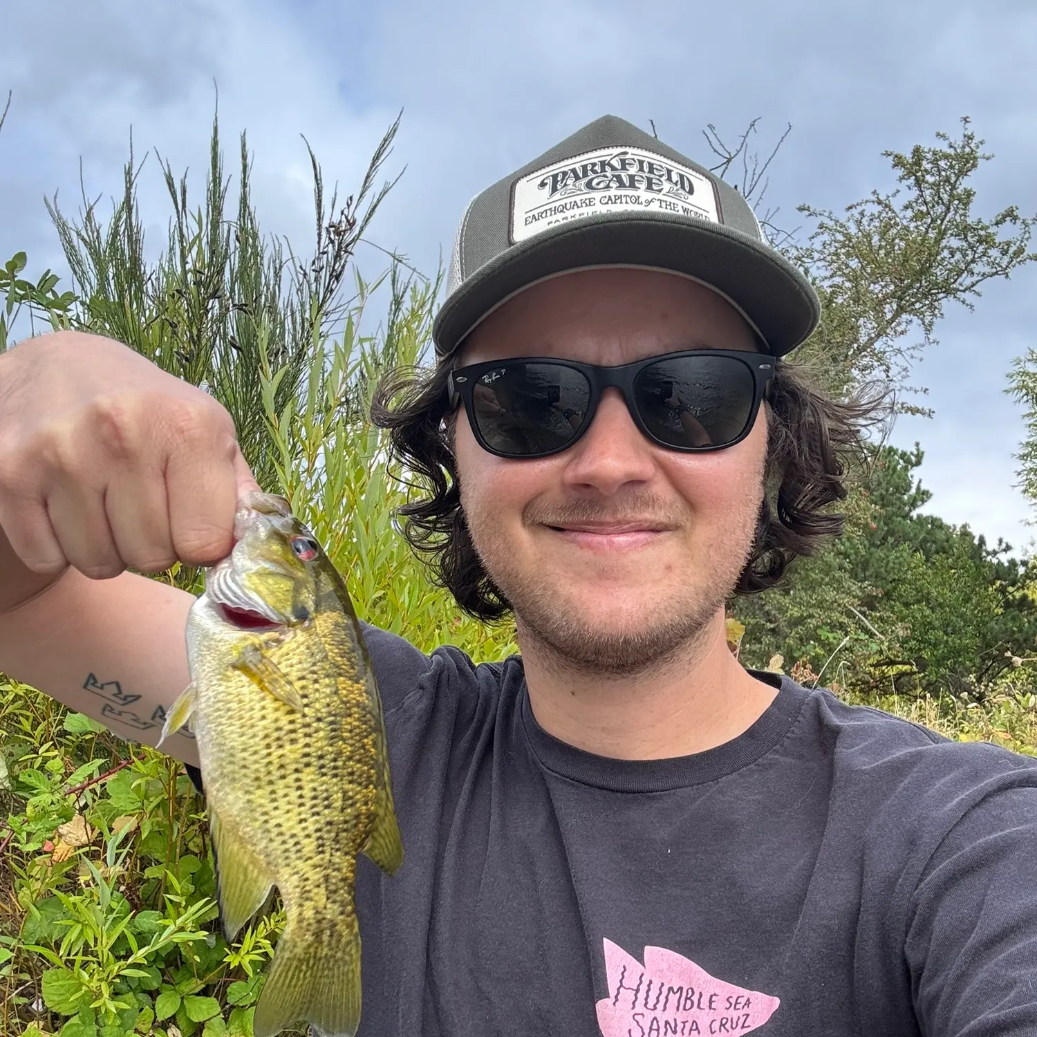 Rock bass caught on Fishbrain
