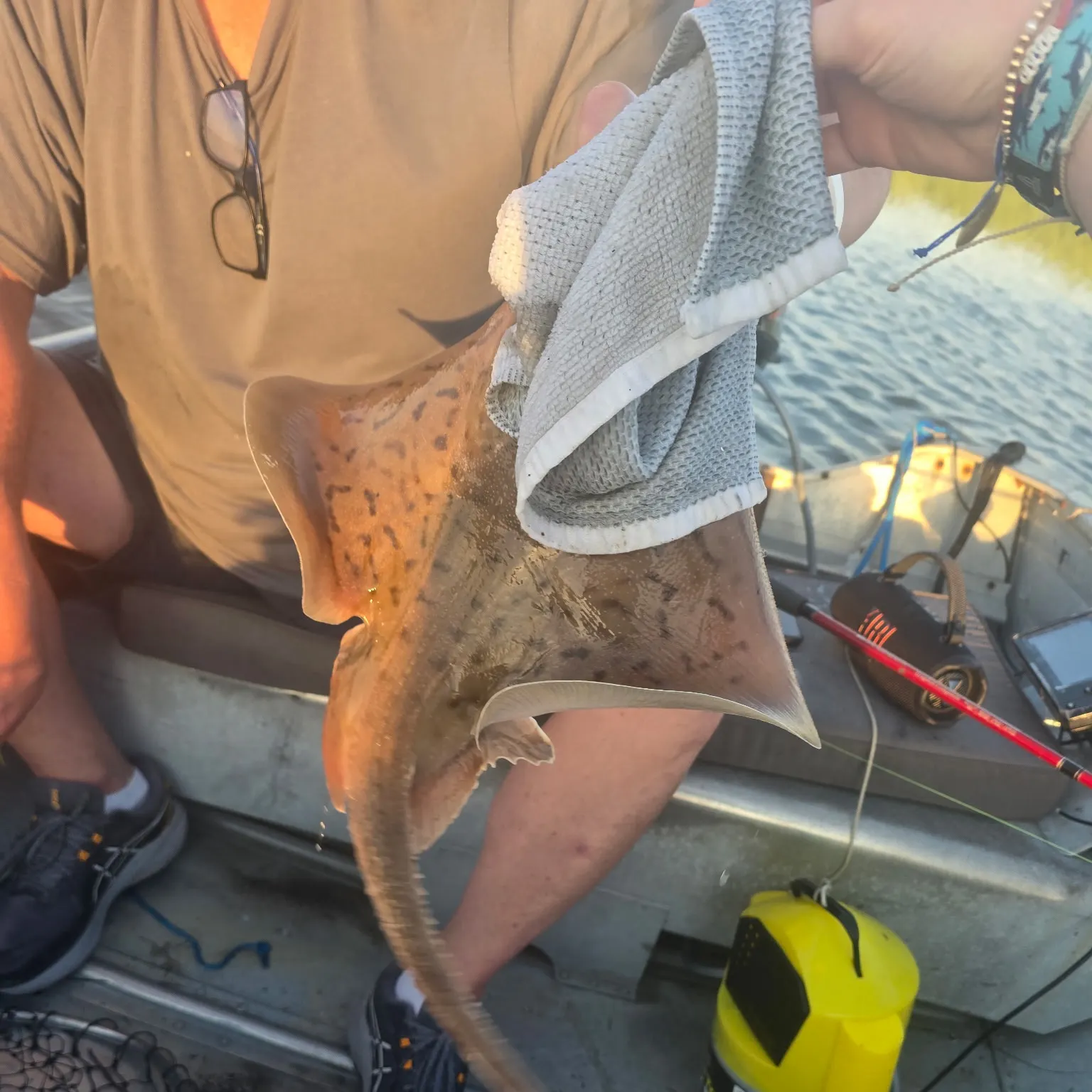 The most recent Clearnose skate catches on Fishbrain