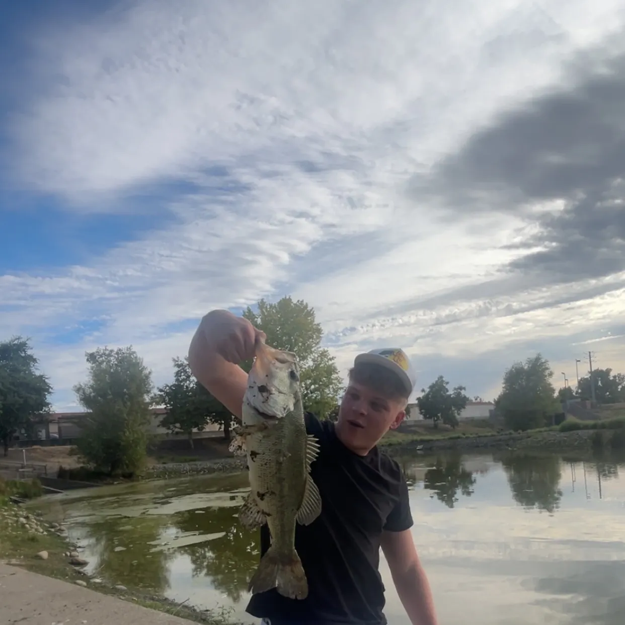 Largemouth bass caught on Fishbrain