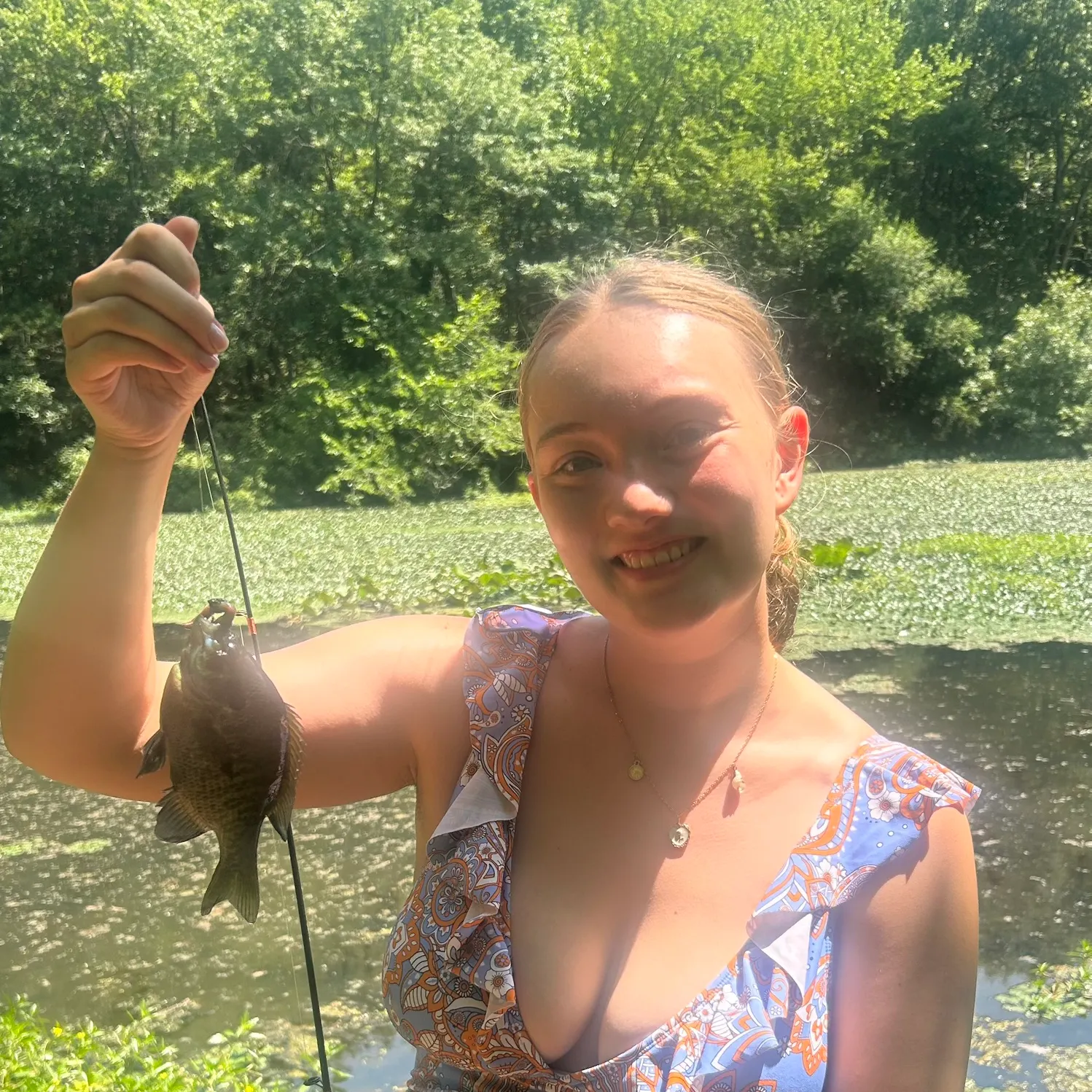 Bluegill caught on Fishbrain