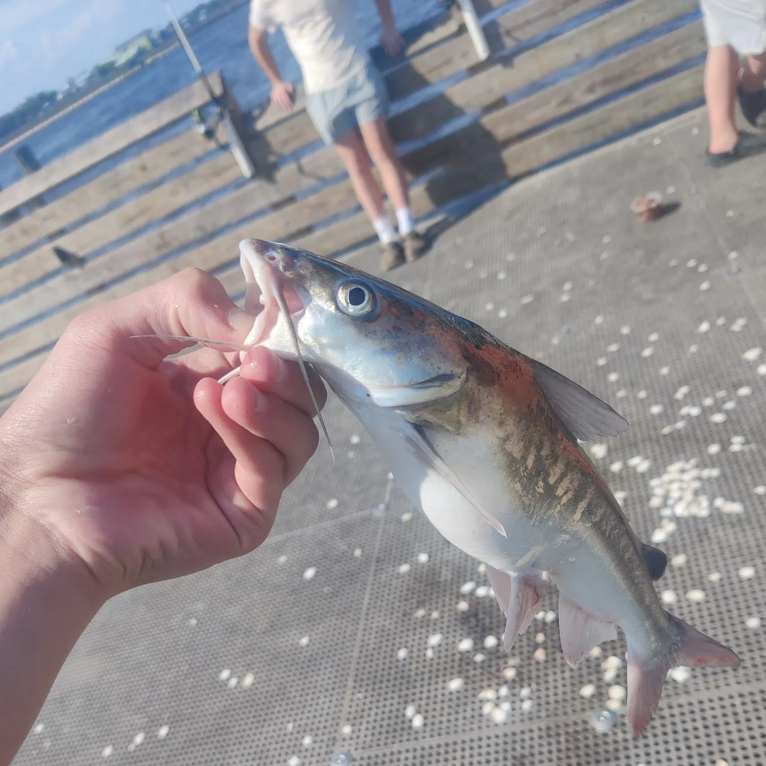 catch