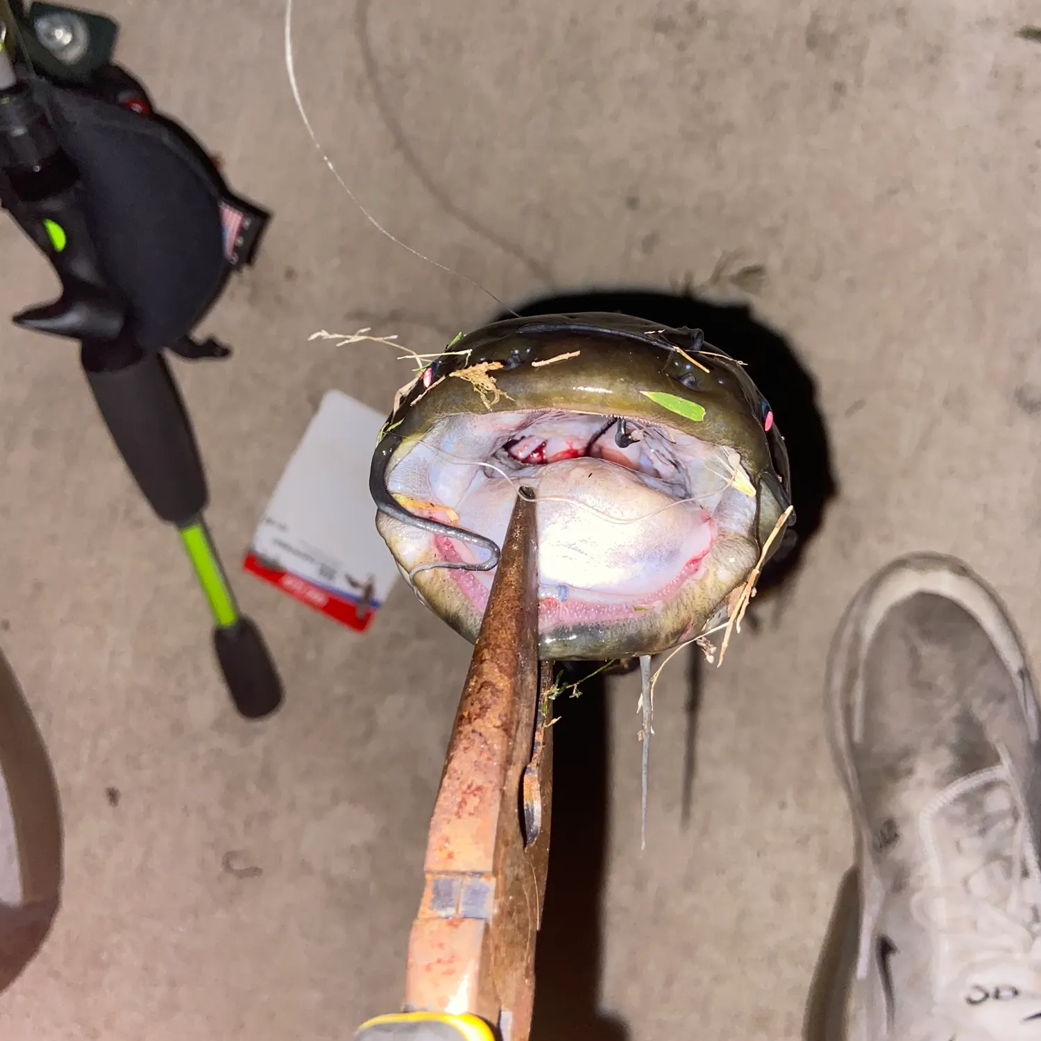 catch