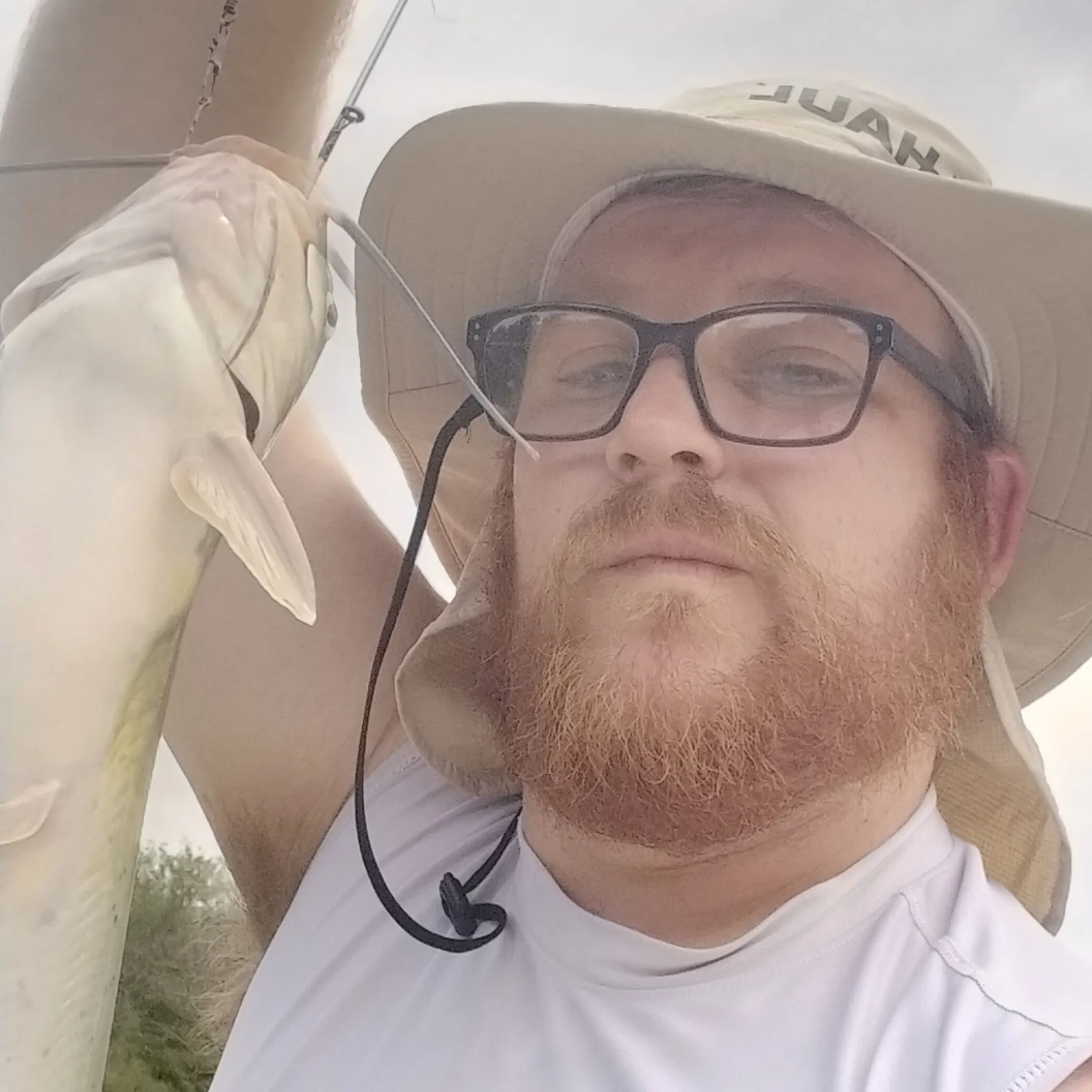 Channel catfish caught on Fishbrain