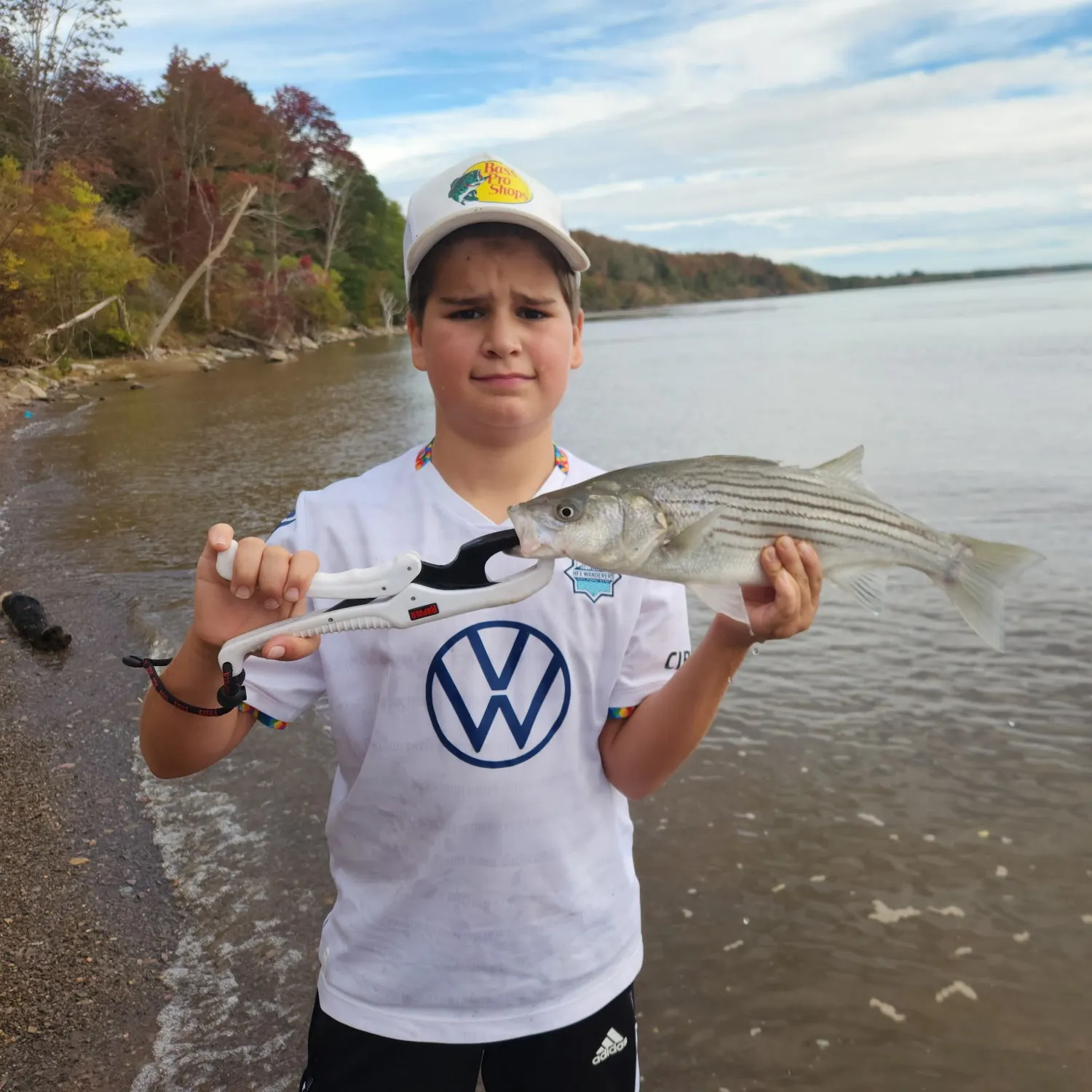 Striped bass caught on Fishbrain