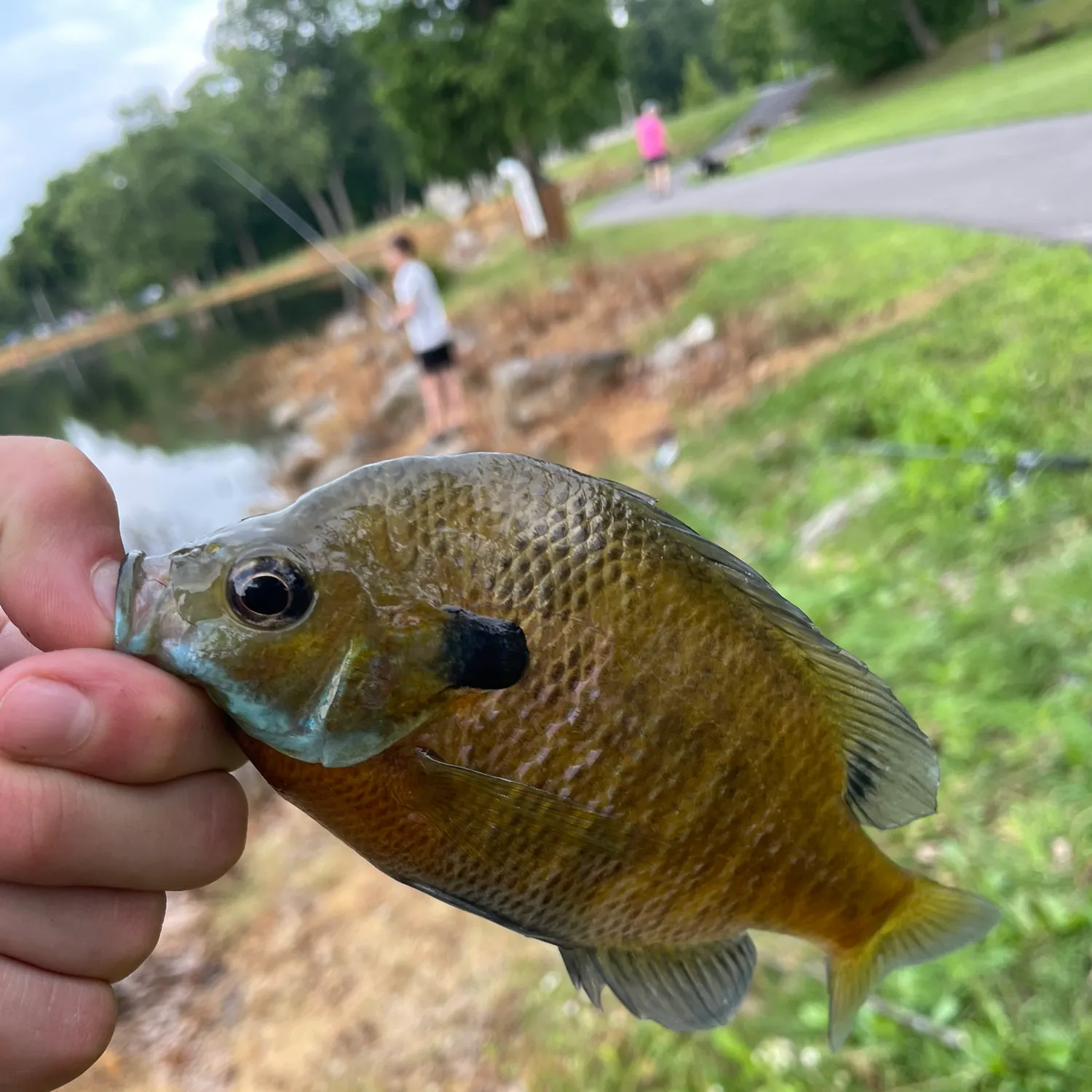 catch