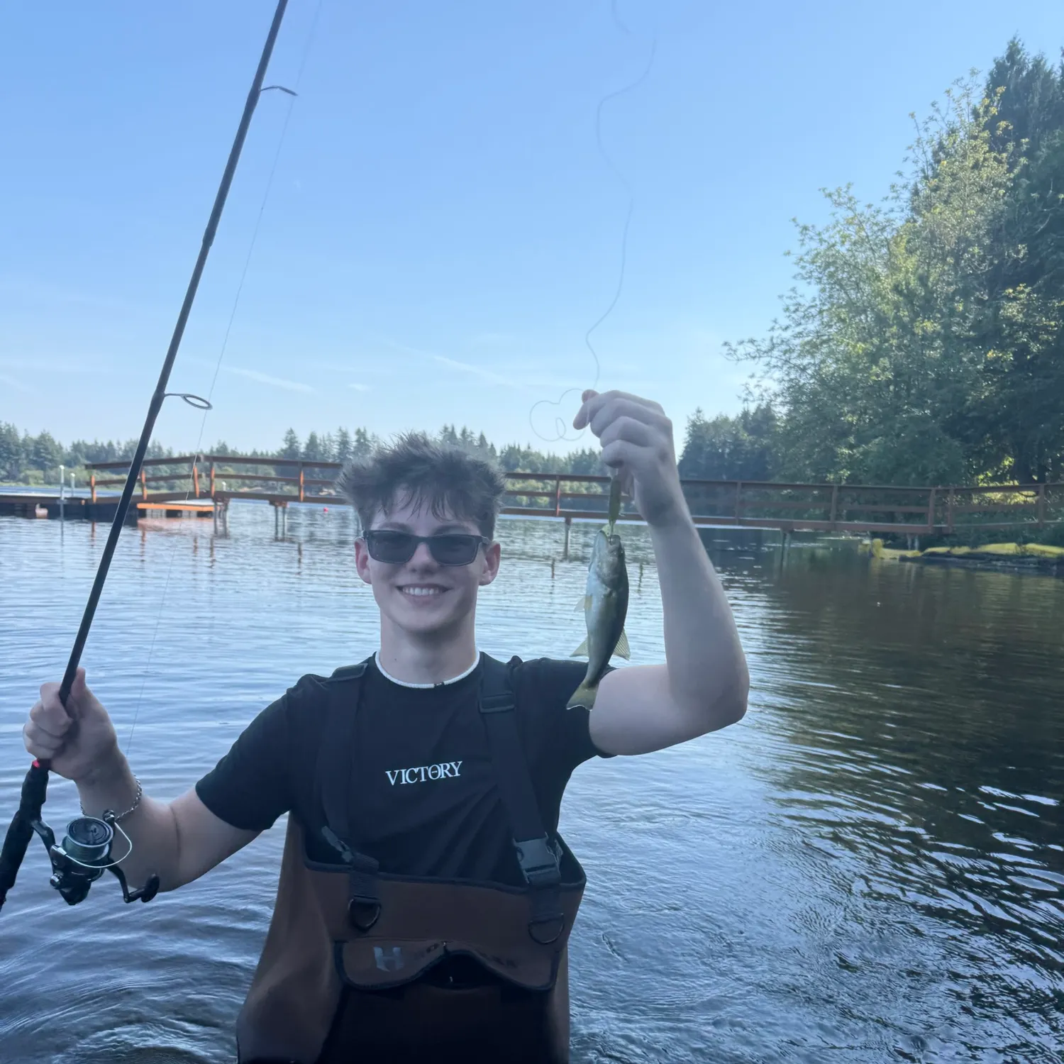 Largemouth bass caught on Fishbrain