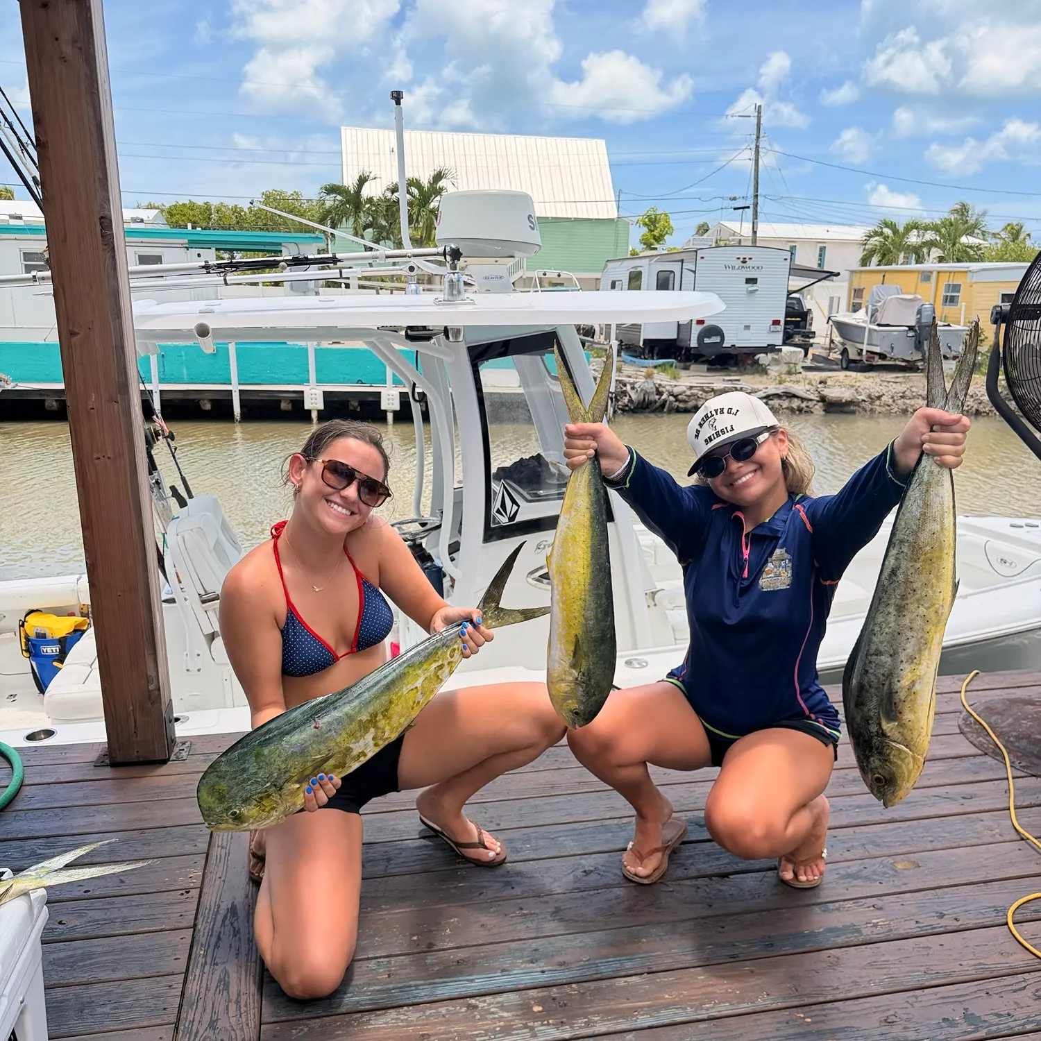 The most recent Common dolphinfish catches on Fishbrain