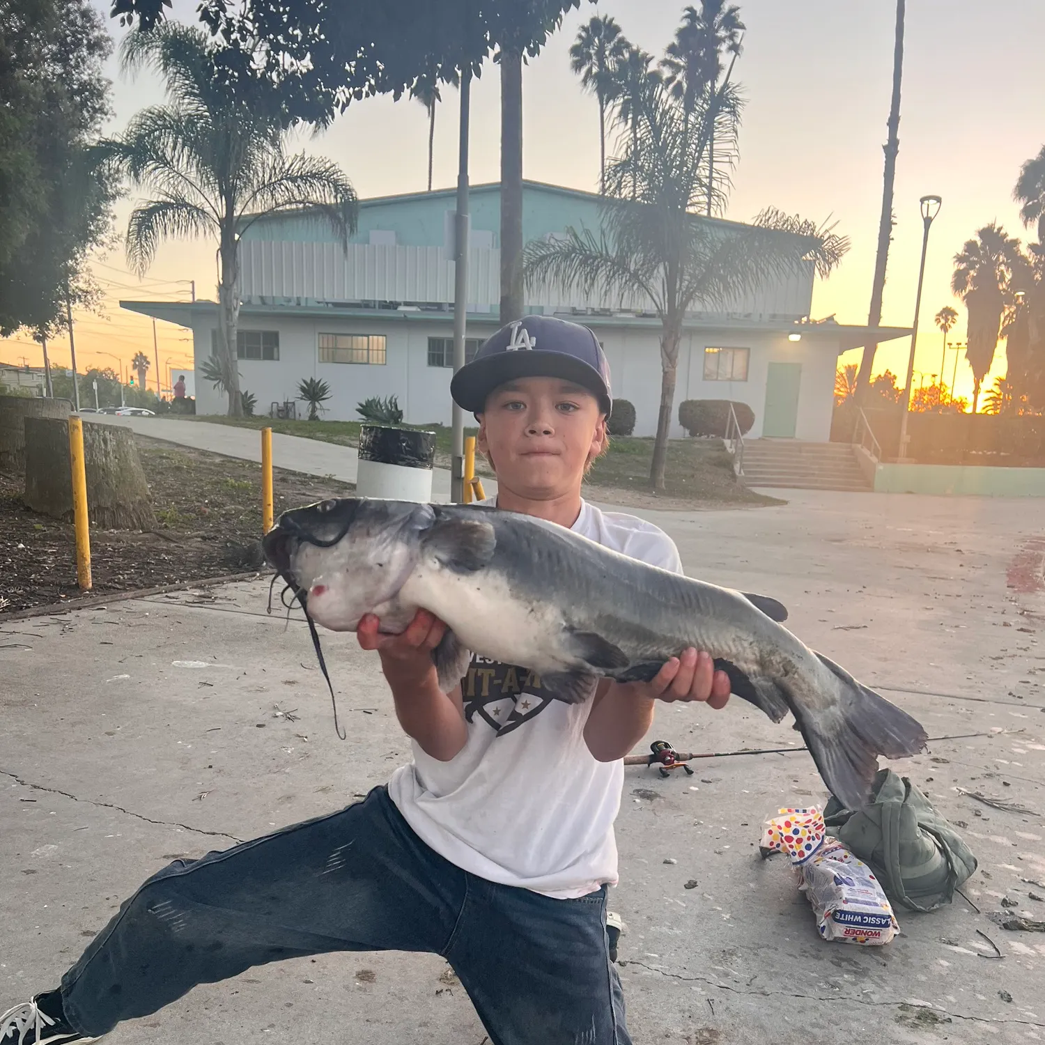 Blue catfish caught on Fishbrain