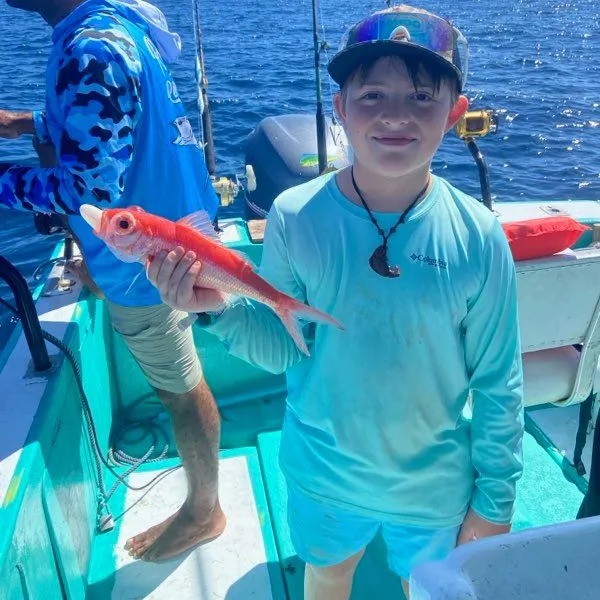 The most recent Queen Snapper catches on Fishbrain