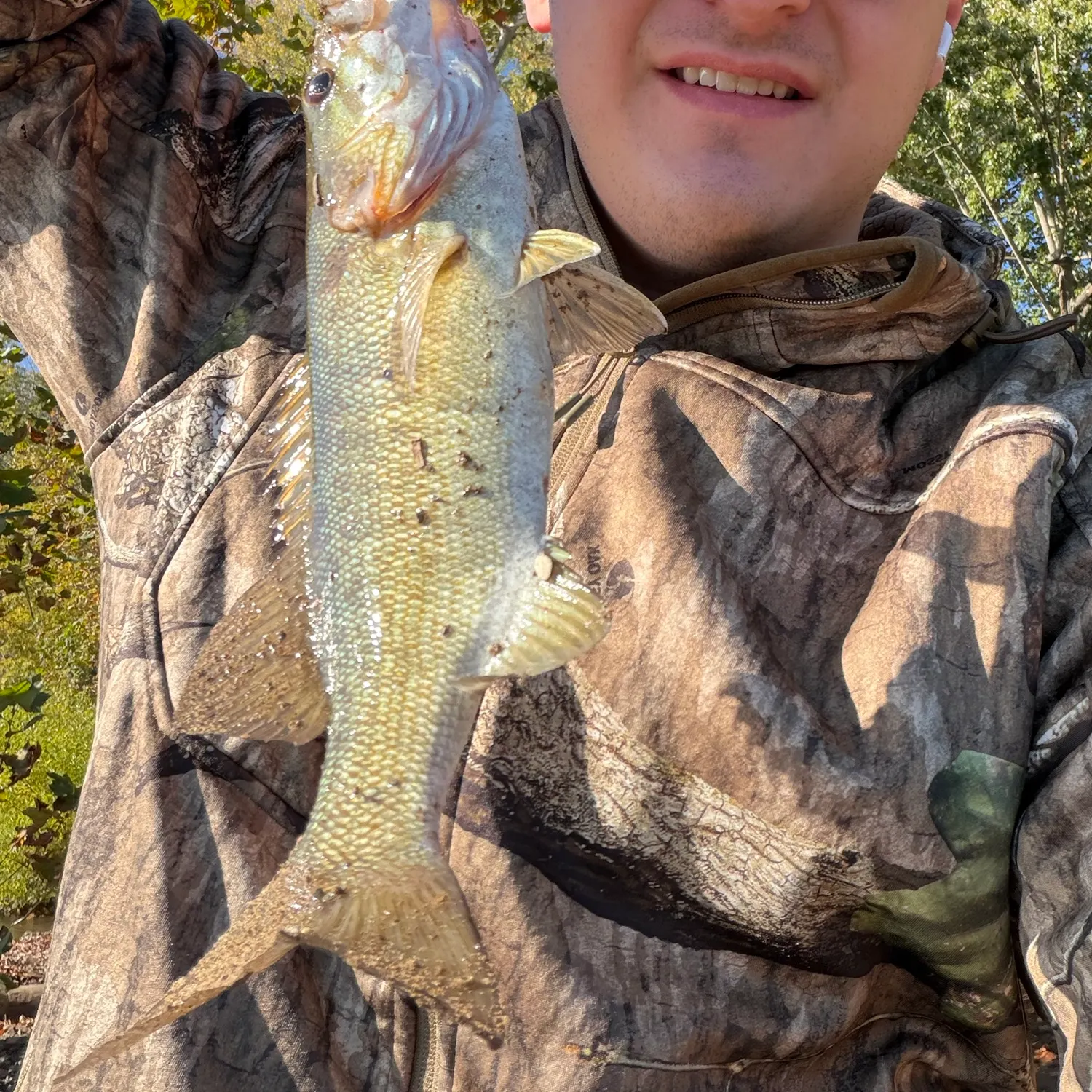 Smallmouth bass caught on Fishbrain