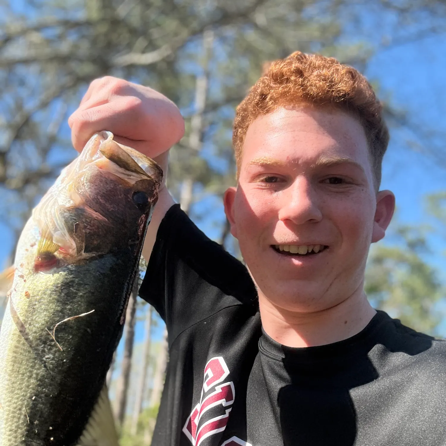 The most recent Largemouth bass catches on Fishbrain