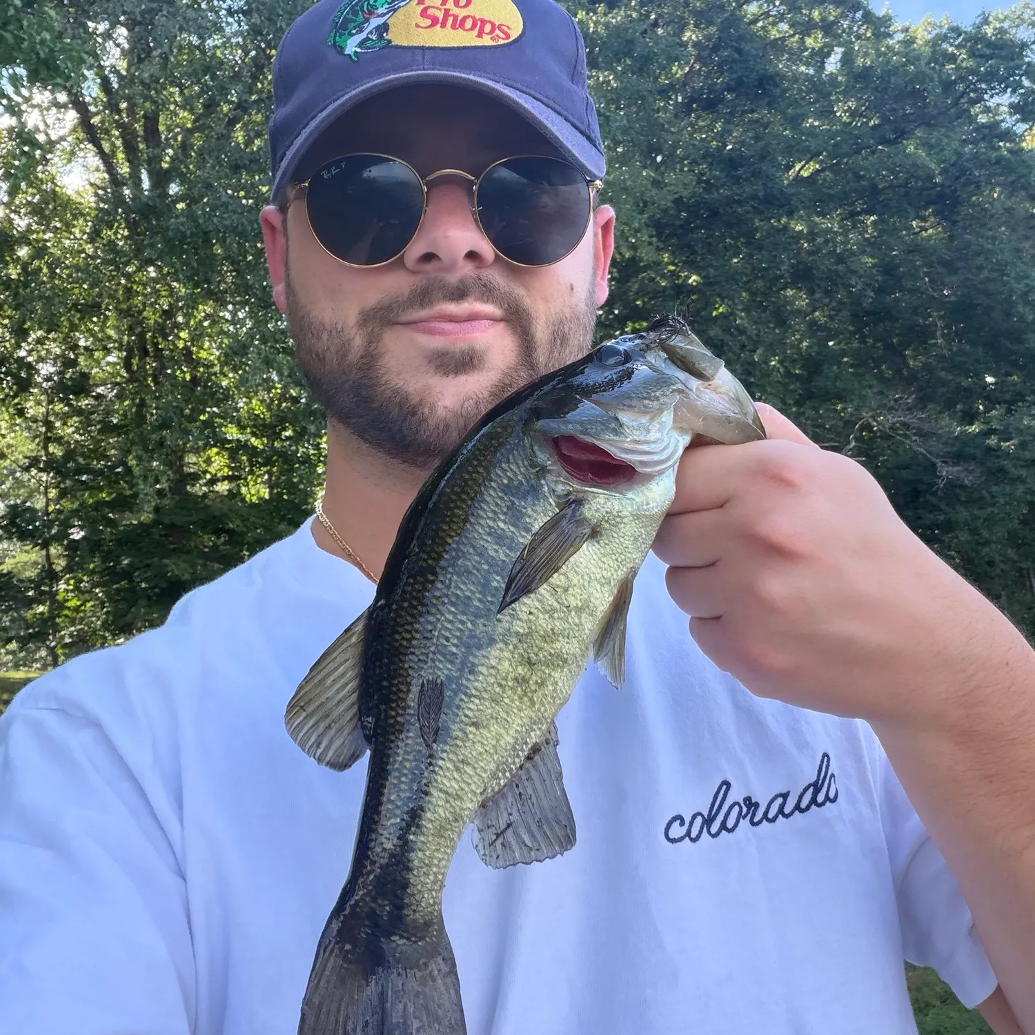 Largemouth bass caught on Fishbrain