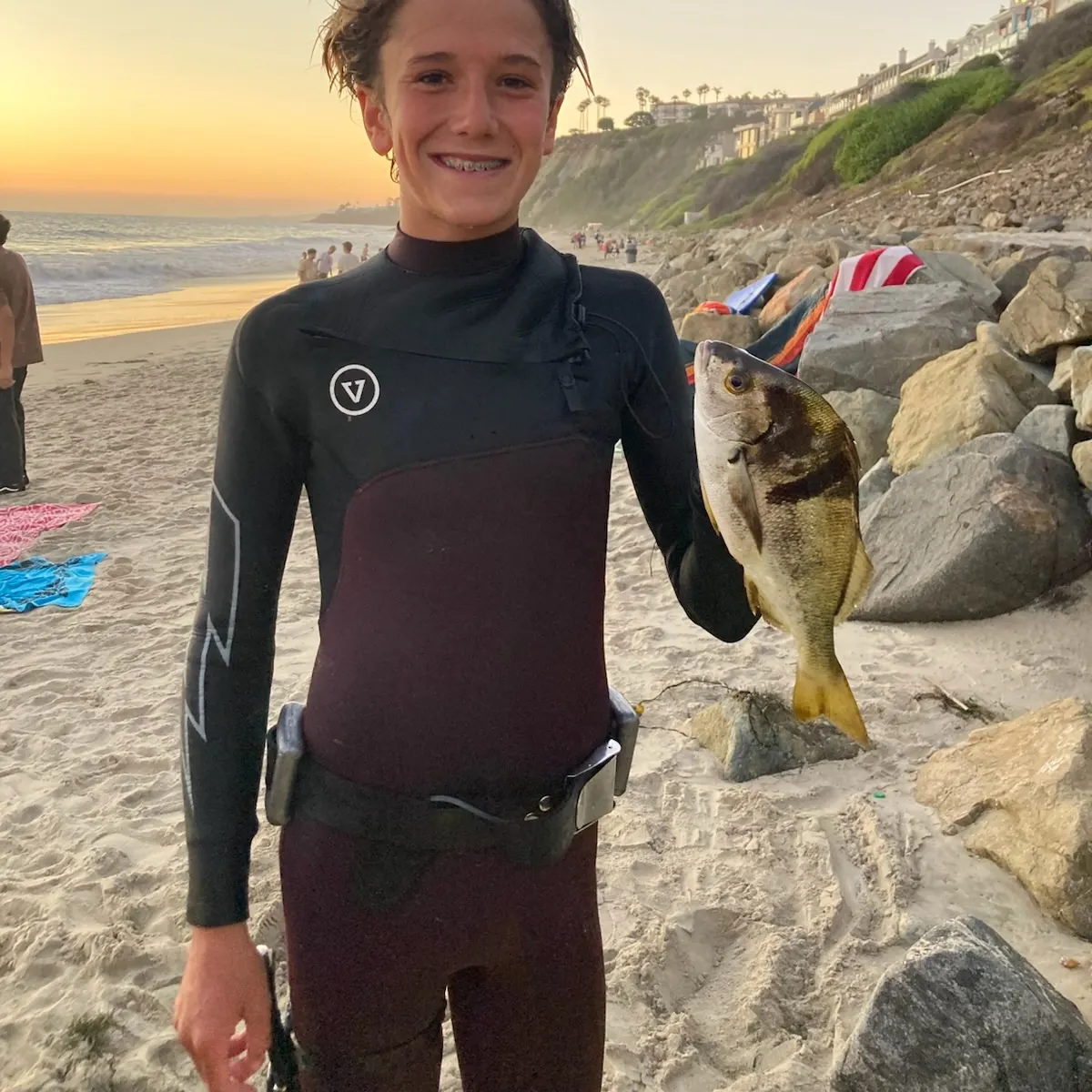 The most recent Pile perch catches on Fishbrain