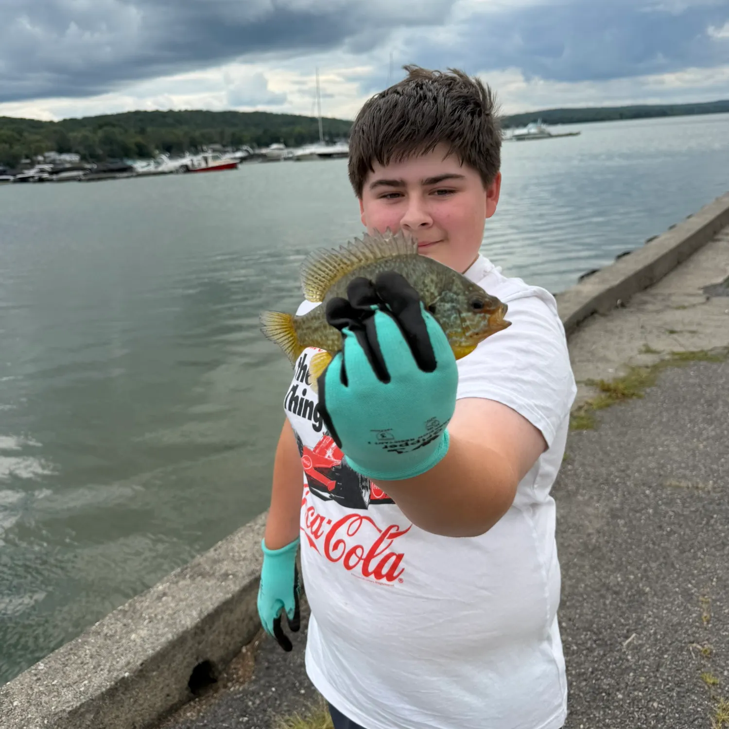 Pumpkinseed caught on Fishbrain