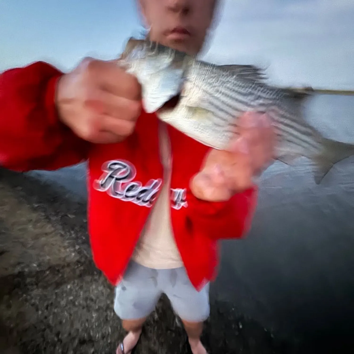 Striped bass caught on Fishbrain