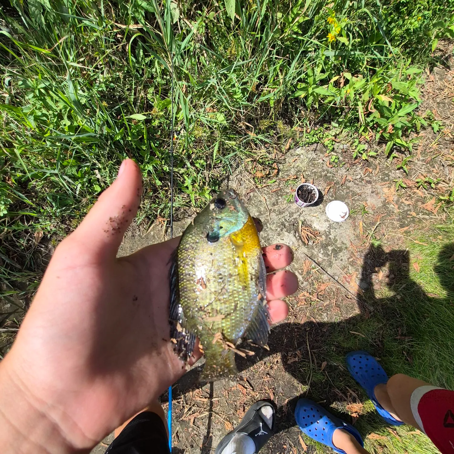 catch
