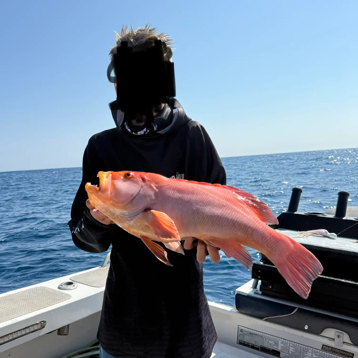 The most recent Breaksea cod catches on Fishbrain