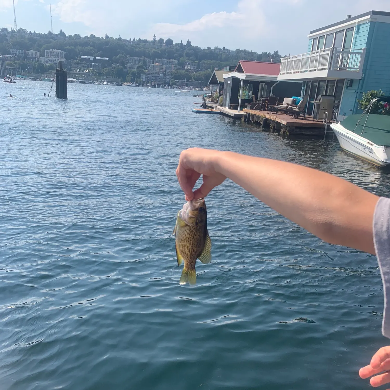catch