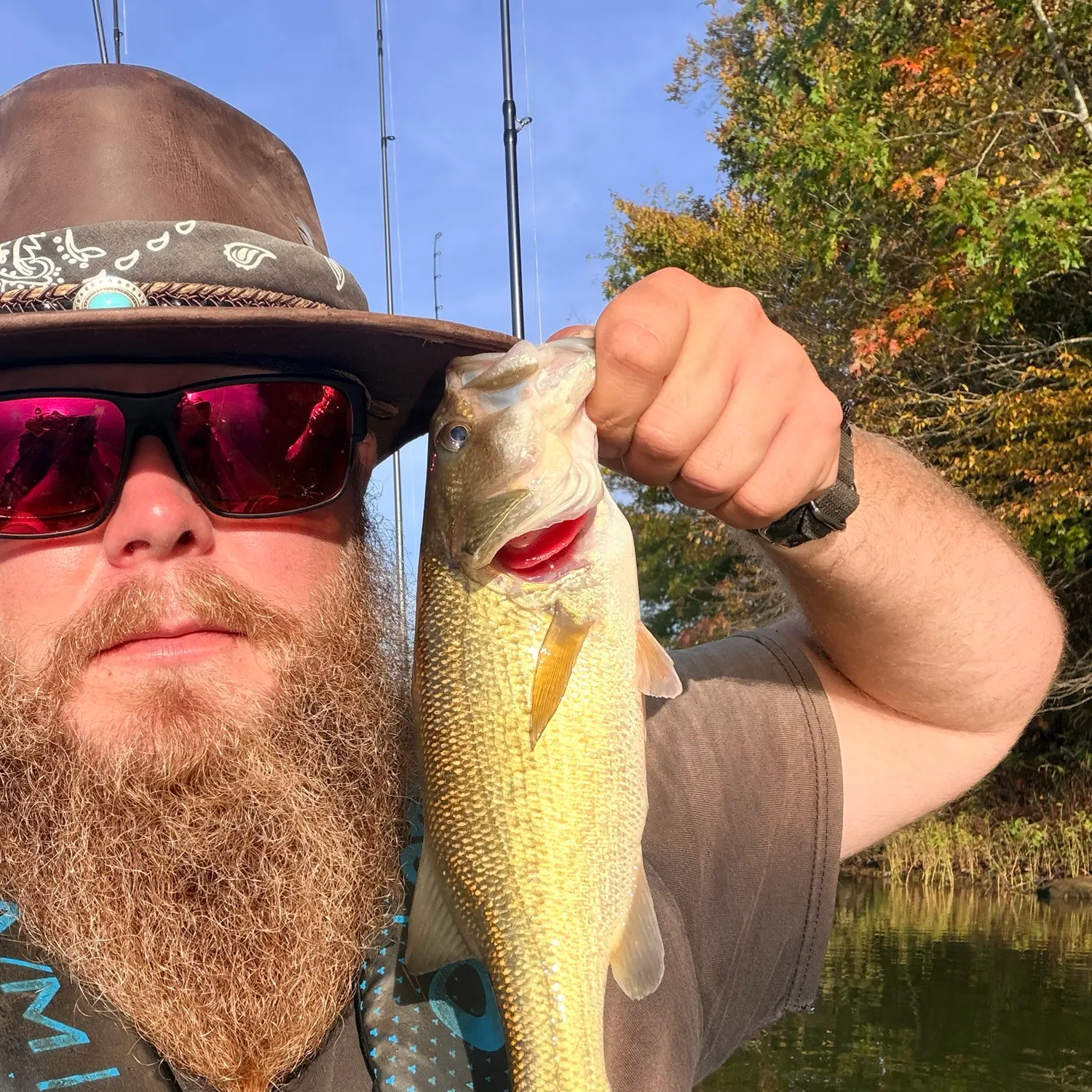 Largemouth bass caught on Fishbrain
