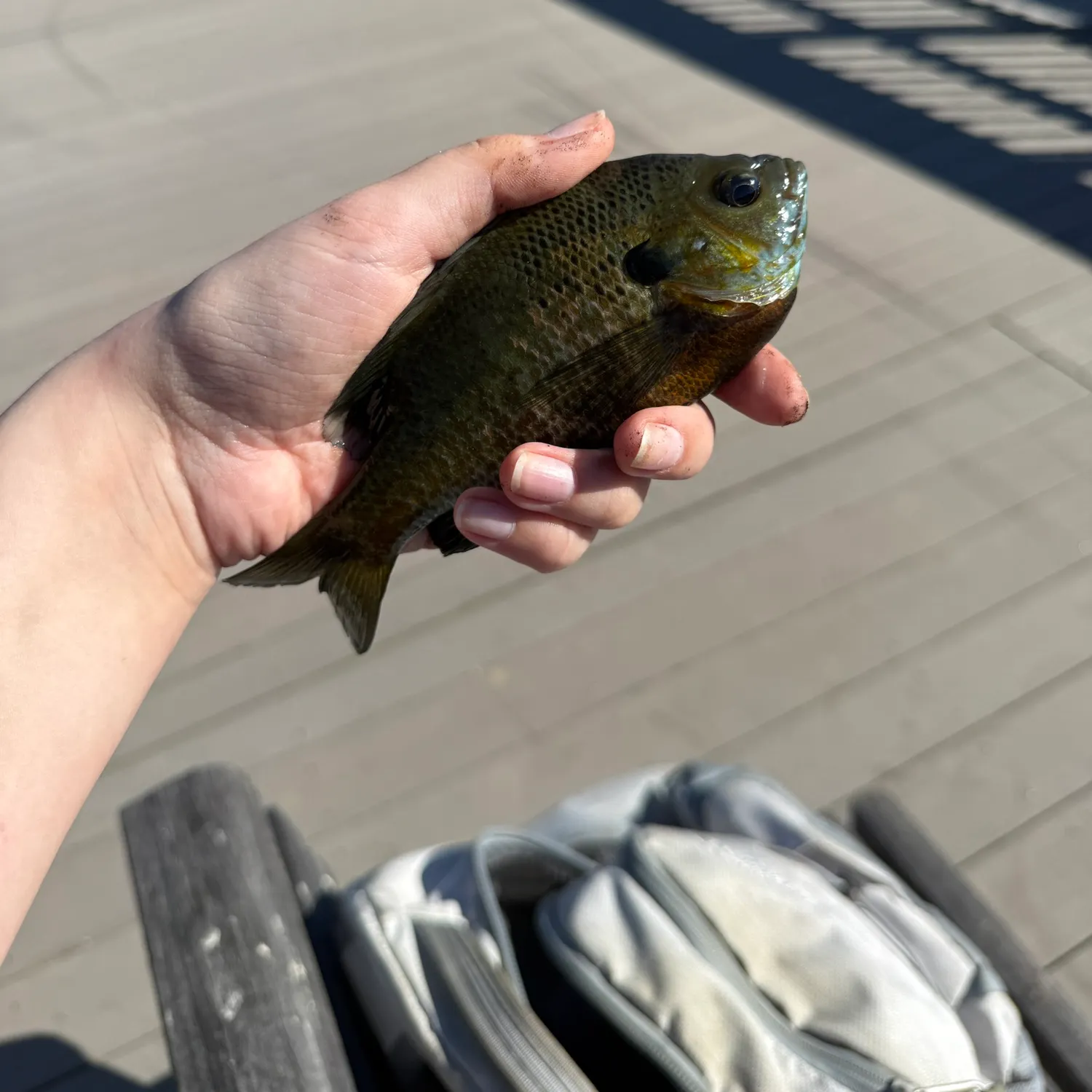 catch