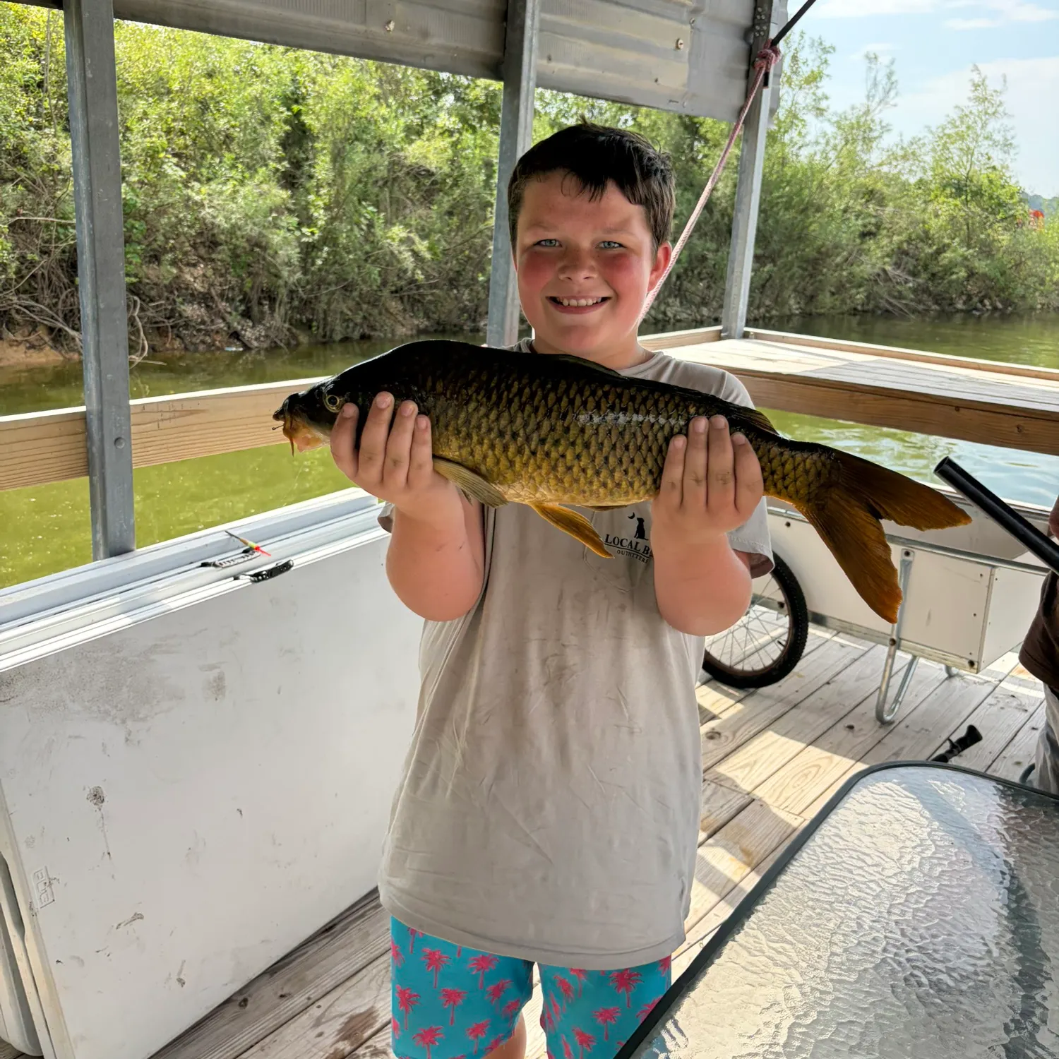 Common carp caught on Fishbrain