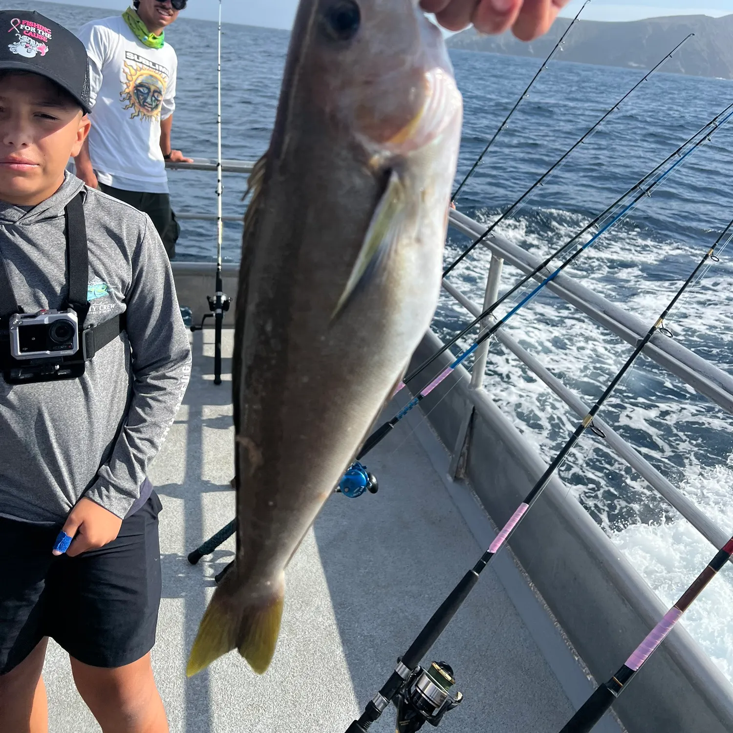 The most recent Ocean whitefish catches on Fishbrain